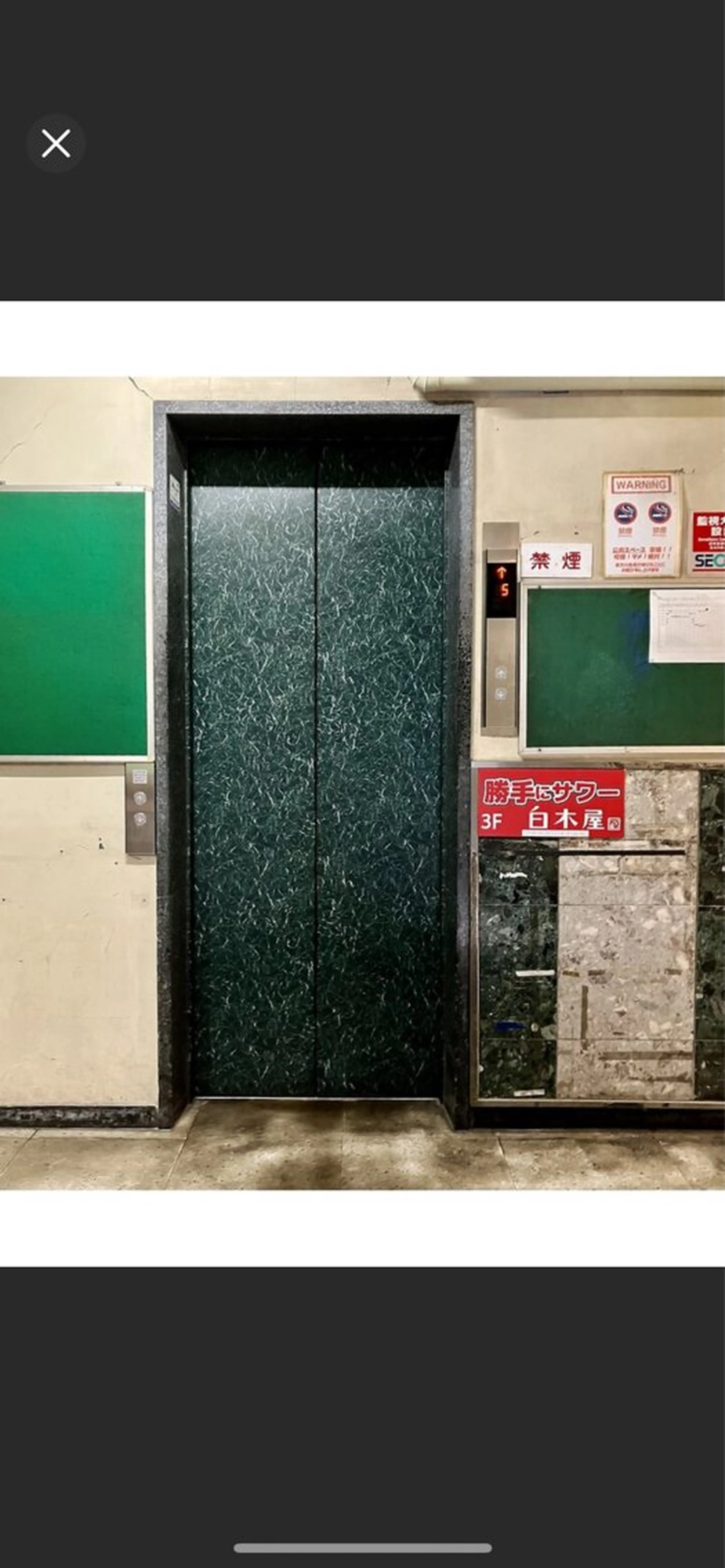 ロレインブロウ吉祥寺店所属・平良 莉子の眉毛・アイブロウイメージ