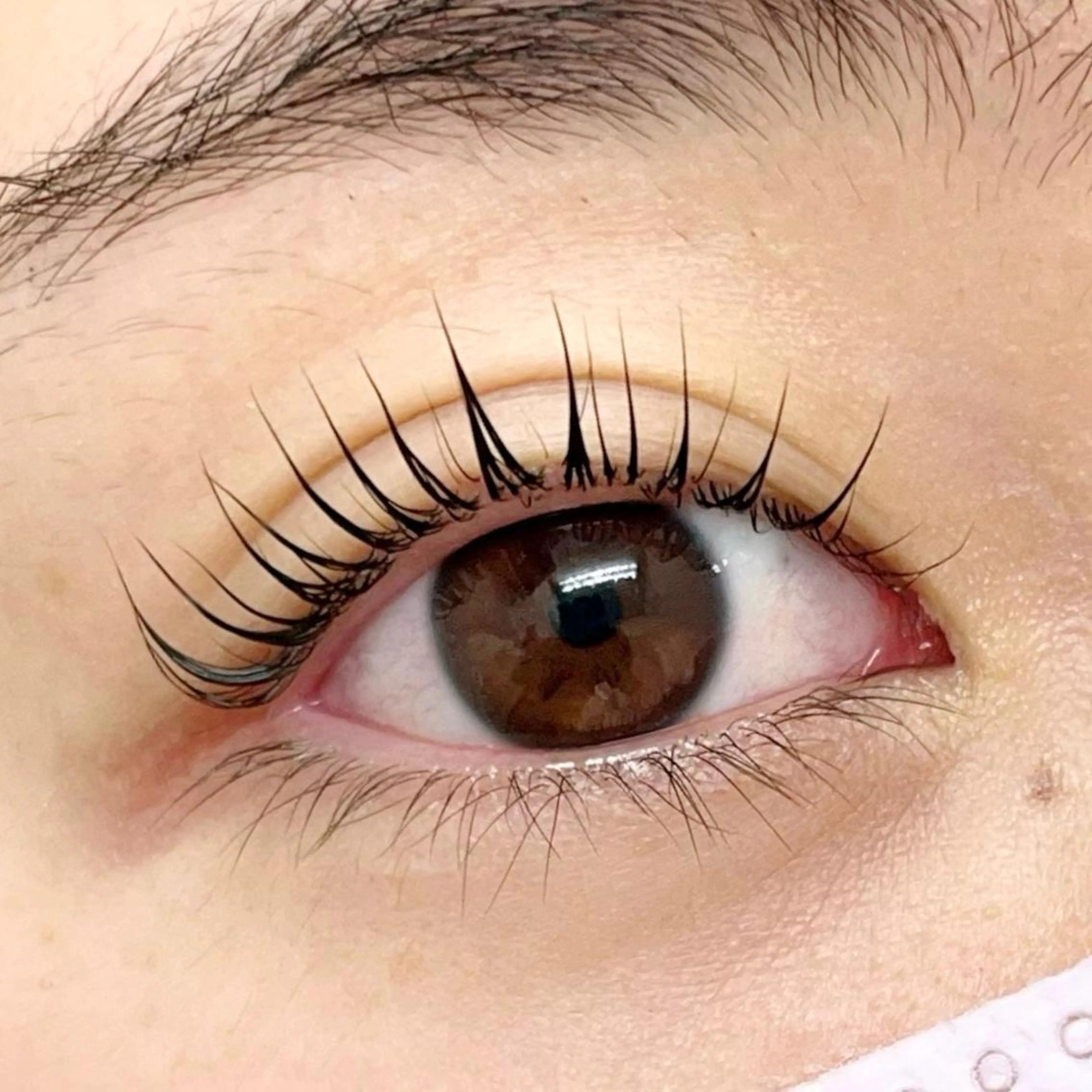 マツエク・マツパ マツパ eyelash LOOPのマツエク・マツパデザイン