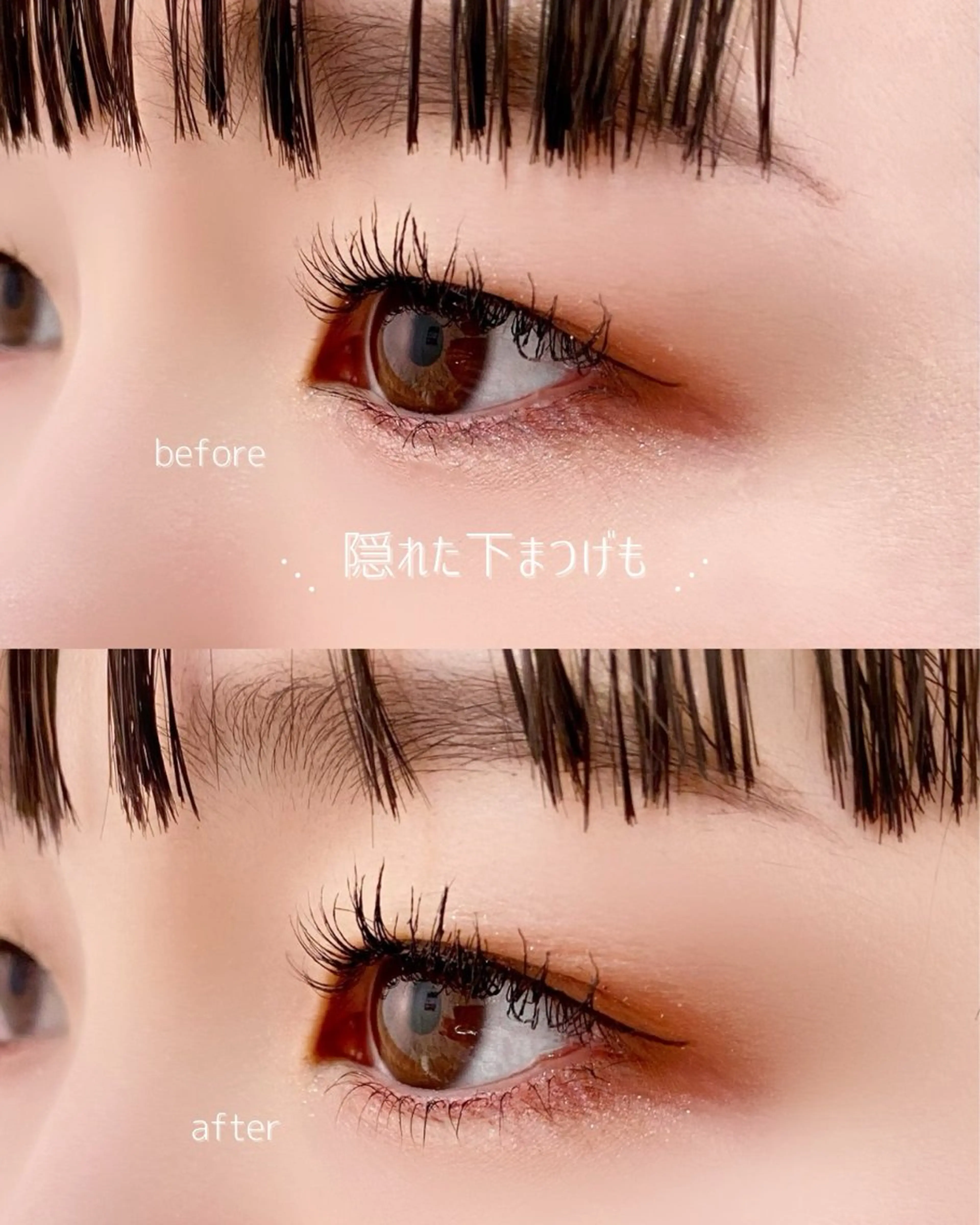 【10月限定】上下まつ毛パーマの写真