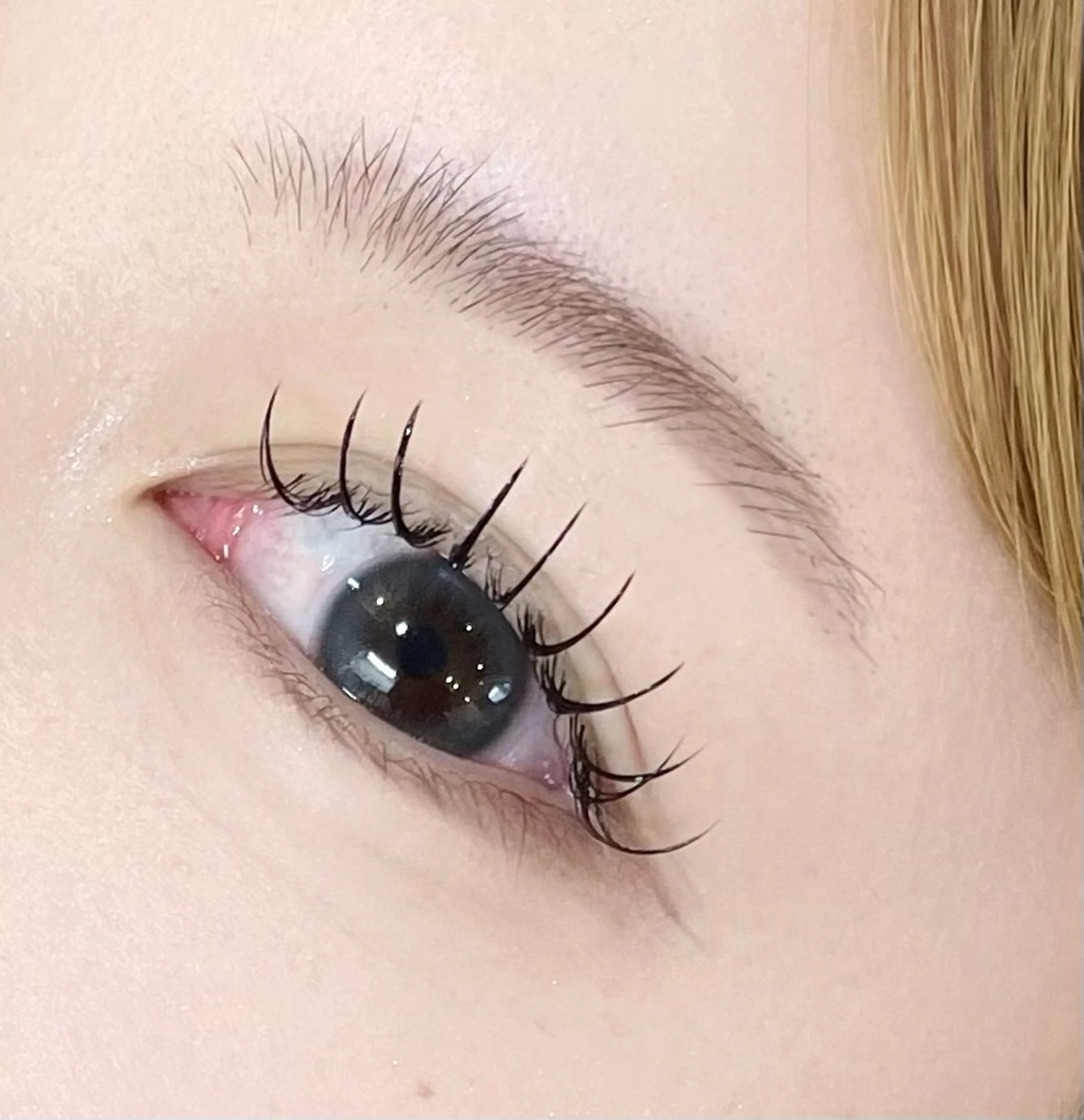 マツエク・マツパ EYELA(アイラ)柏店所属・👑EYELA 柏／ 川村👑のマツエク・マツパデザイン