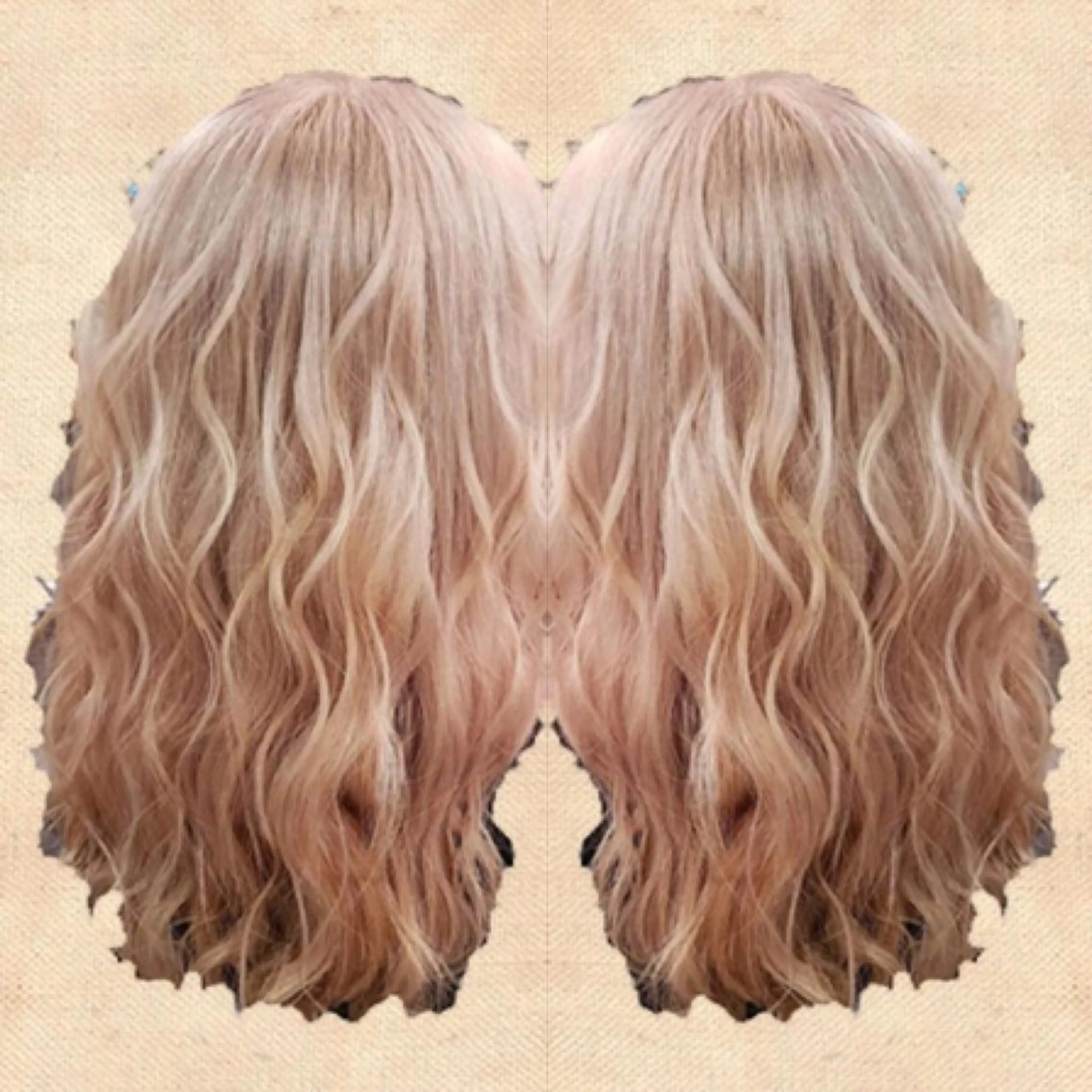 巻き下ろし・簡単プチセットの写真