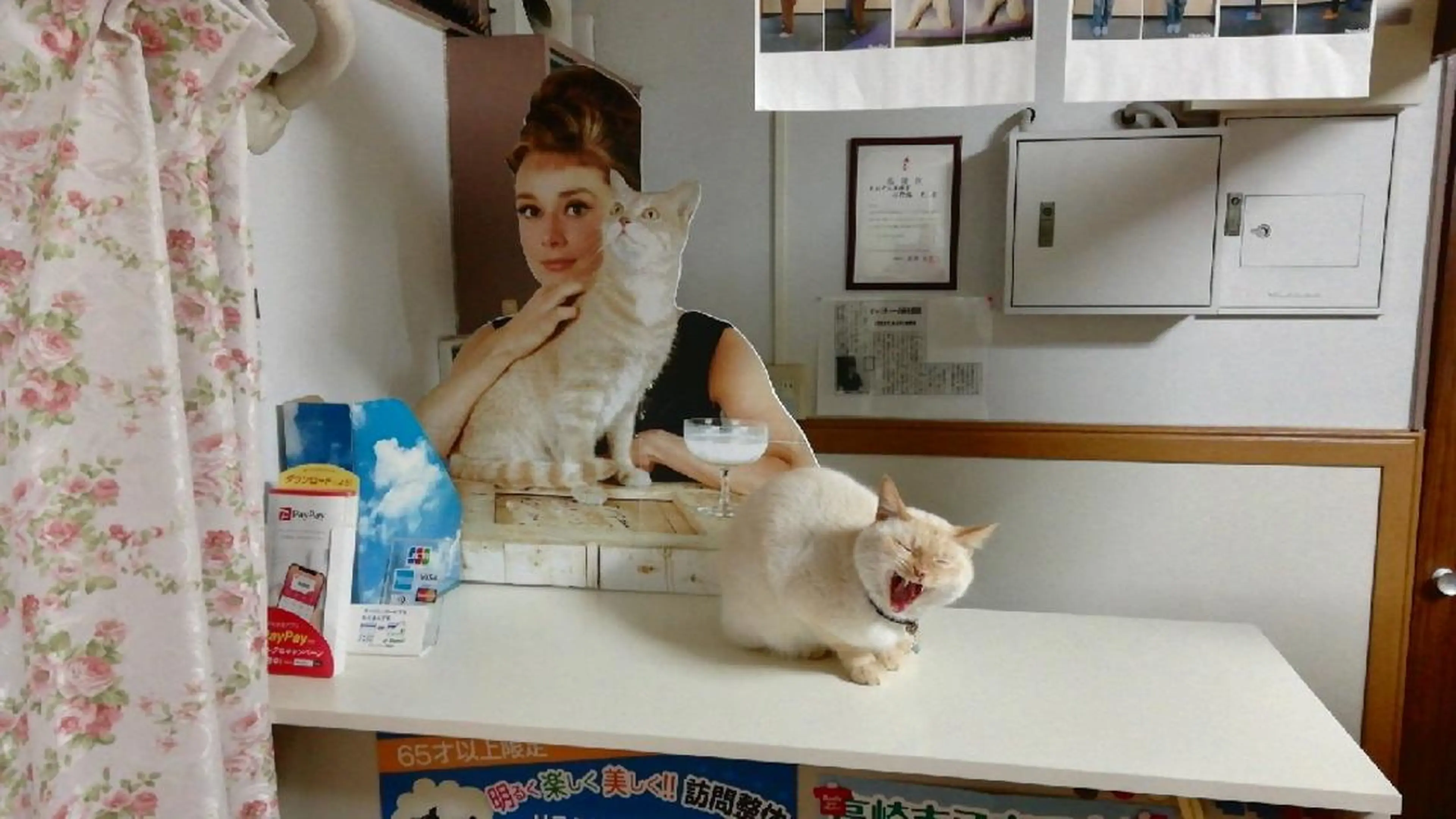 小野塚 充のエステ・リラクイメージ