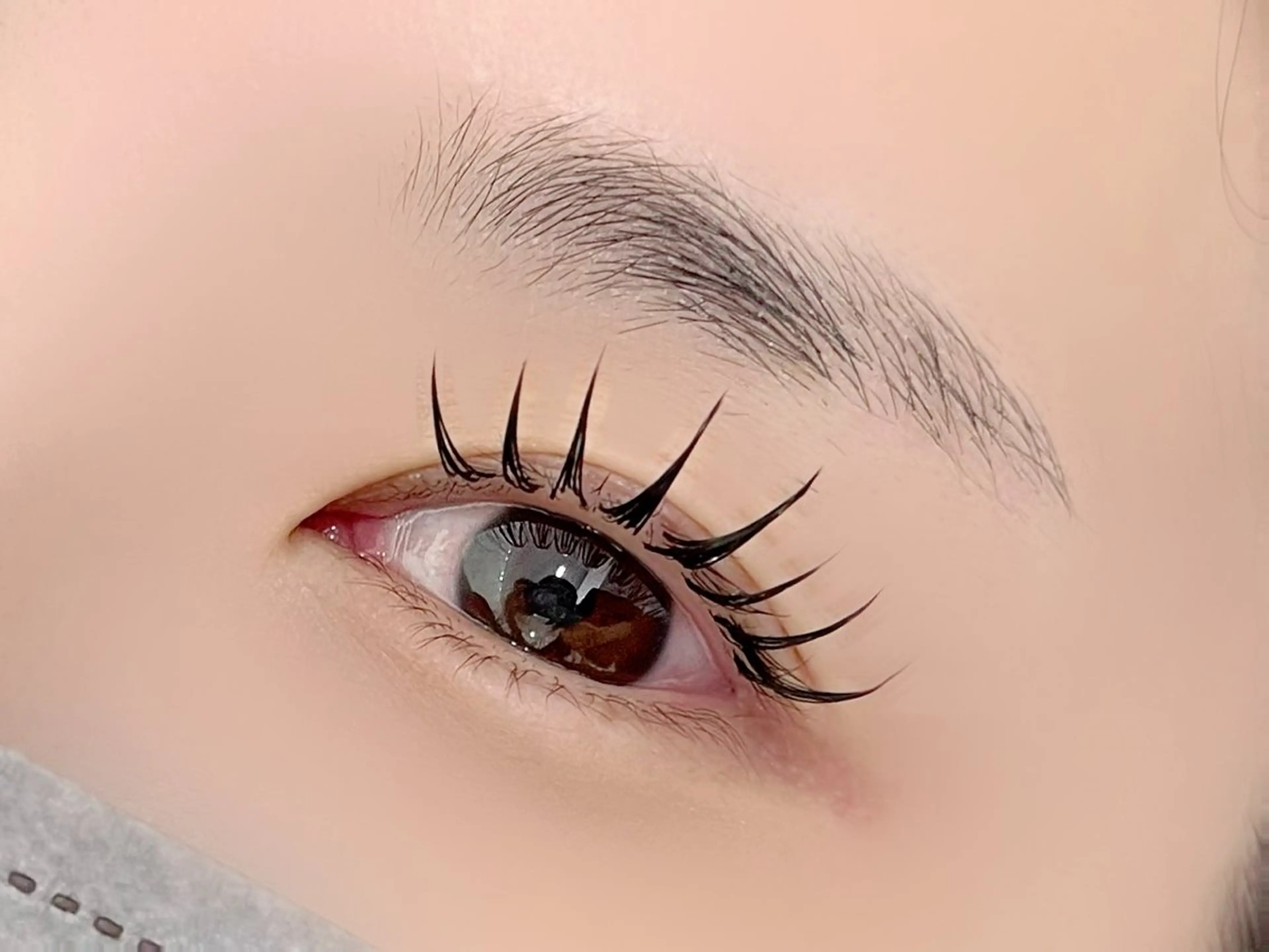 12月限定【バインドロック80束×コーティング剤1本】の写真