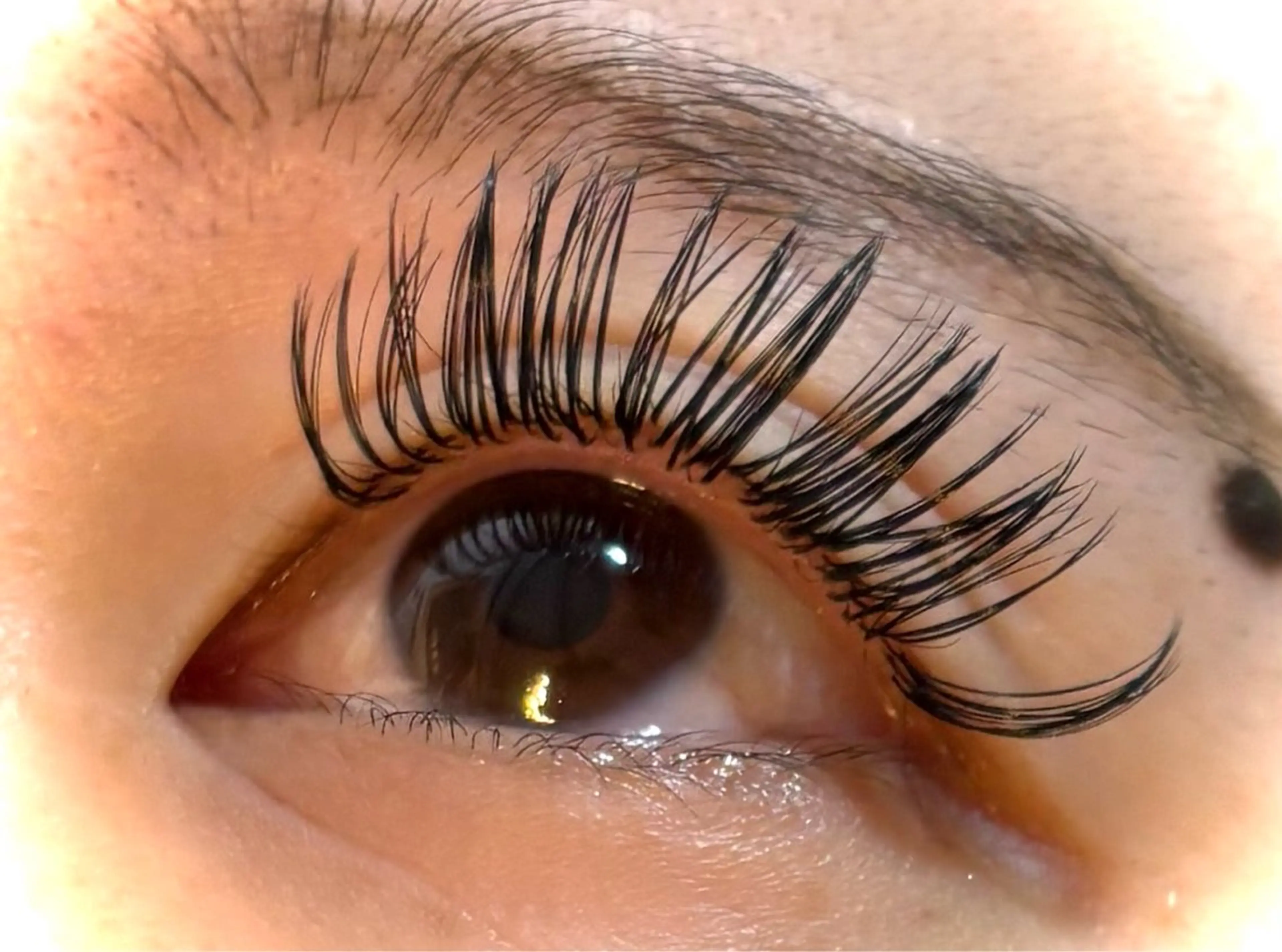 最高級セーブルボリュームラッシュ1000本(オフ込み)の写真