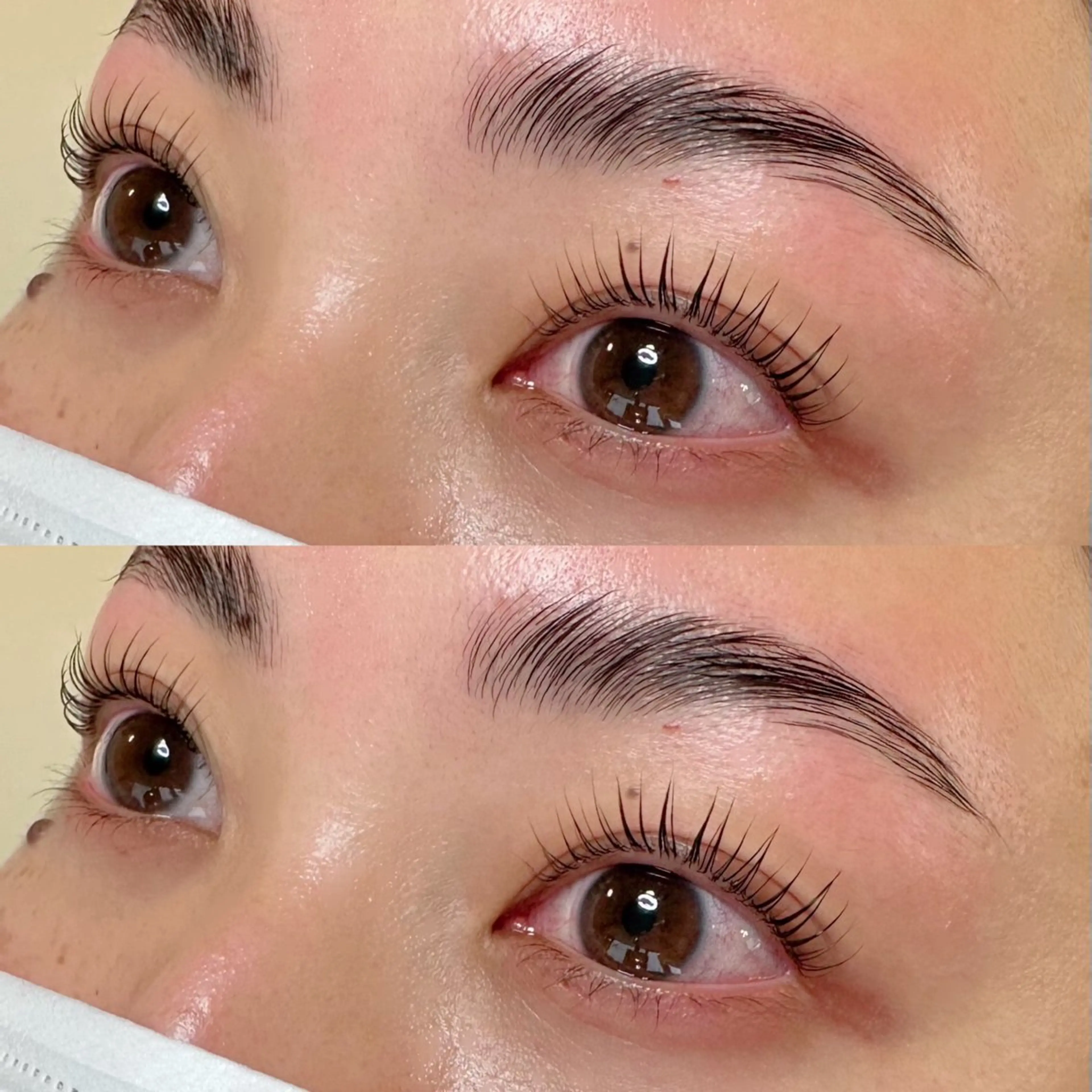 HBL ハリウッドブロウリフト（Waxあり）の写真