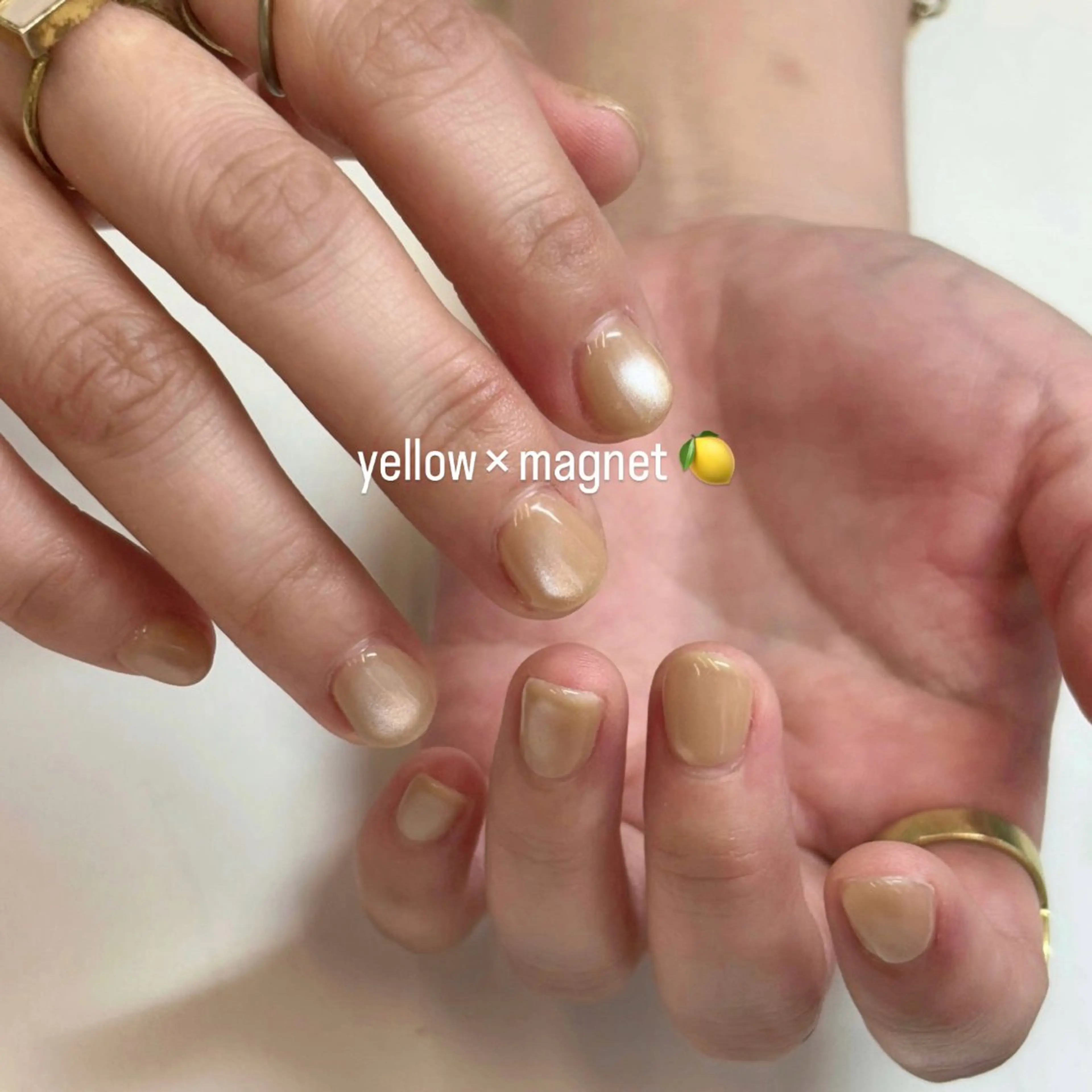 ネイル マグネットネイル nail Eto./ 博多ニュアンスネイルのネイルデザイン