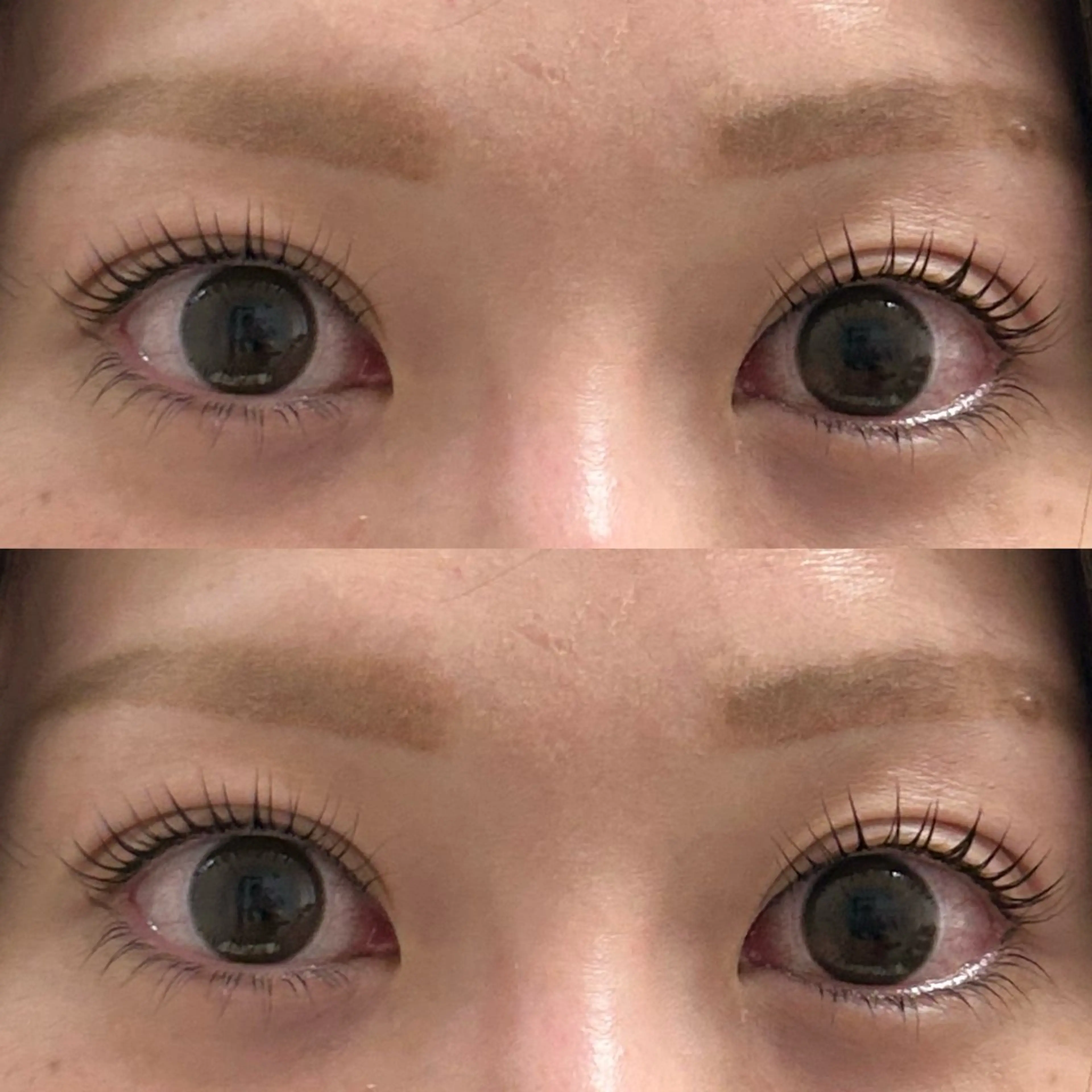 マツエク・マツパ まつ毛・まゆ毛の専門店　aitas 津田沼店【アイタス】所属・aitas🎀 藤野のマツエク・マツパデザイン