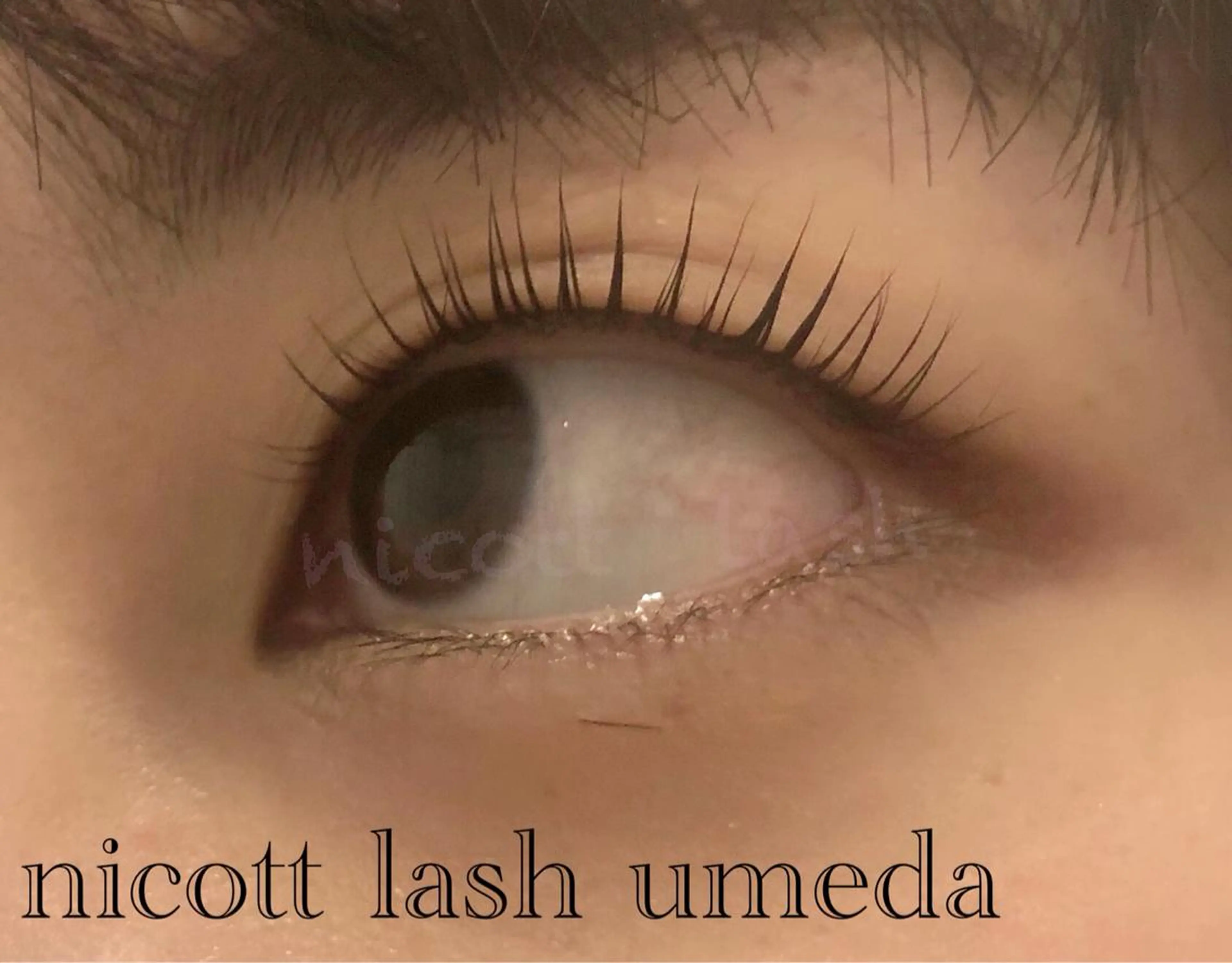 マツエク・マツパ パリジェンヌラッシュリフト サクラブロウ 大阪駅前第4ビルのマツエク・マツパデザイン