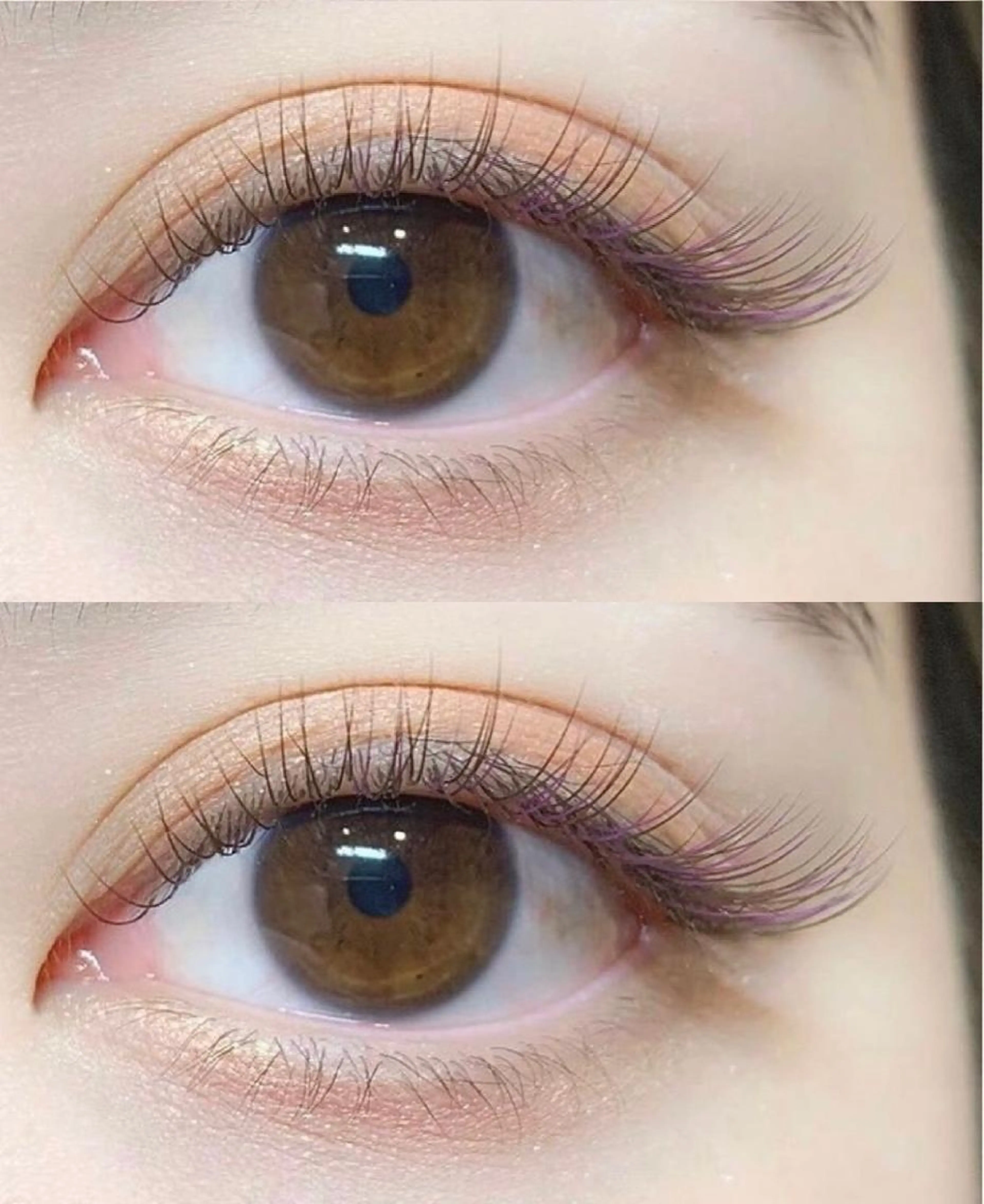 【ミニモ限定クーポン】💗抗菌セーブル100本＋カラエク40本オフ込み¥4700🧸の写真