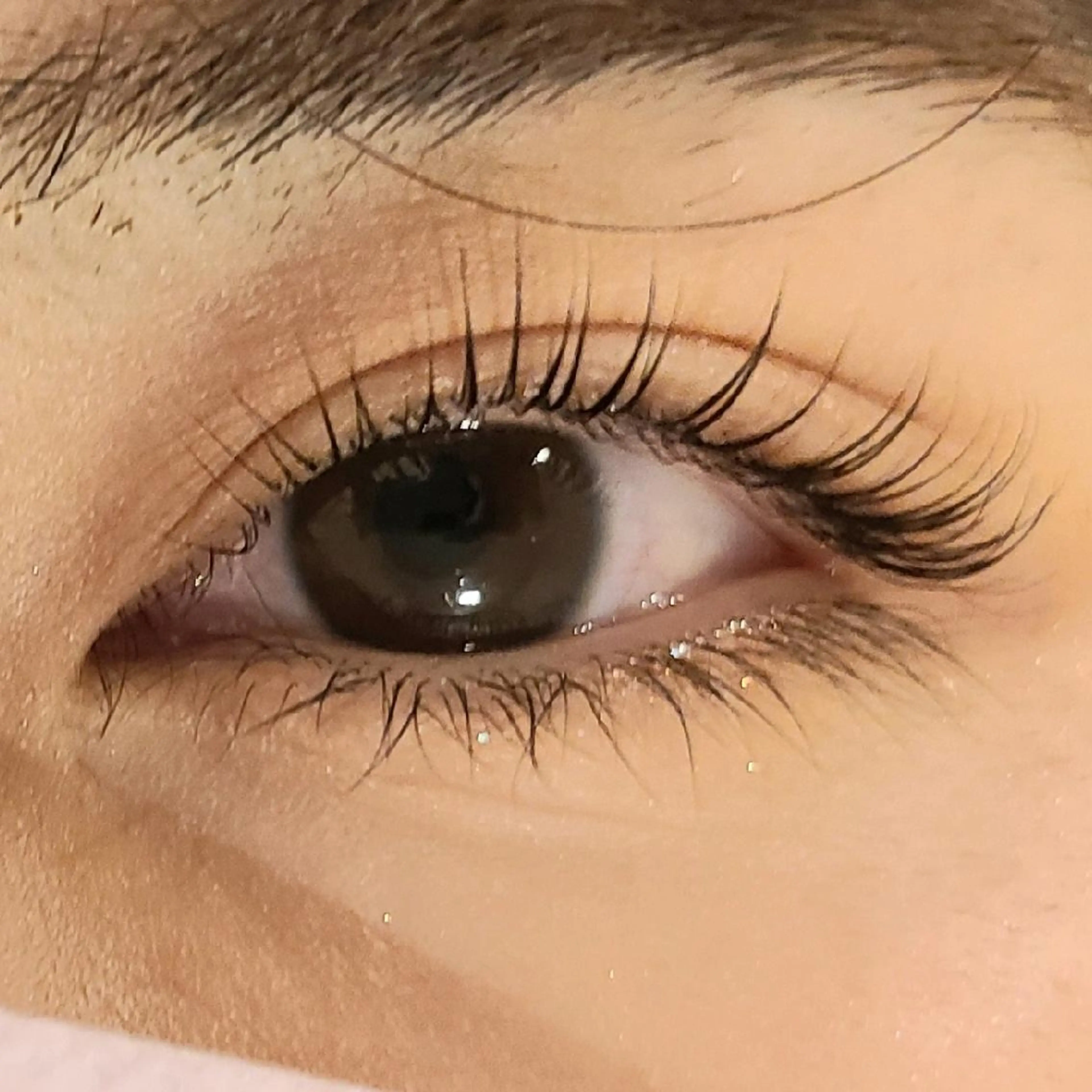 上下まつ毛パーマの写真