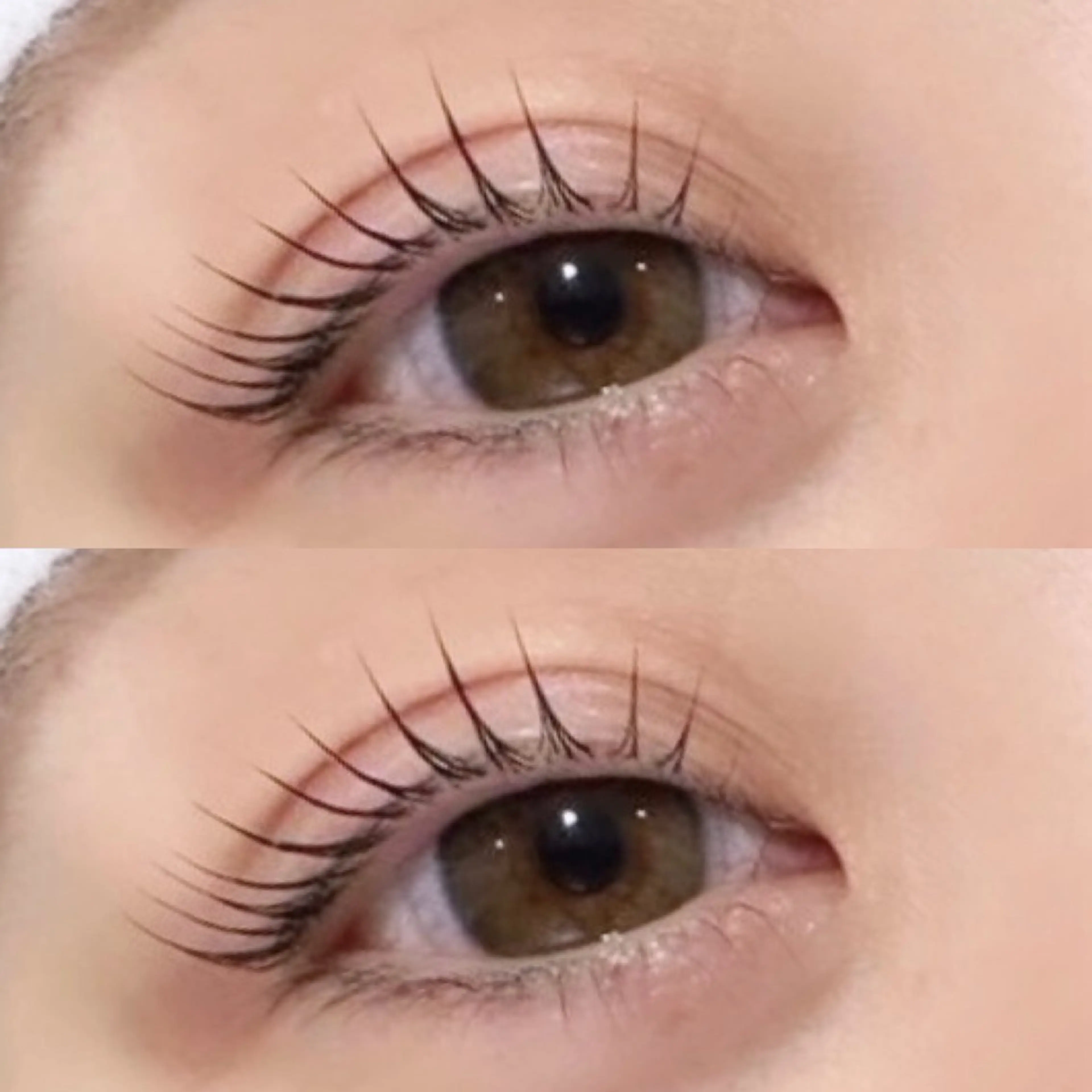 🌺🩷上まつ毛ラッシュリフトorパリジェンヌ🩷🌺の写真