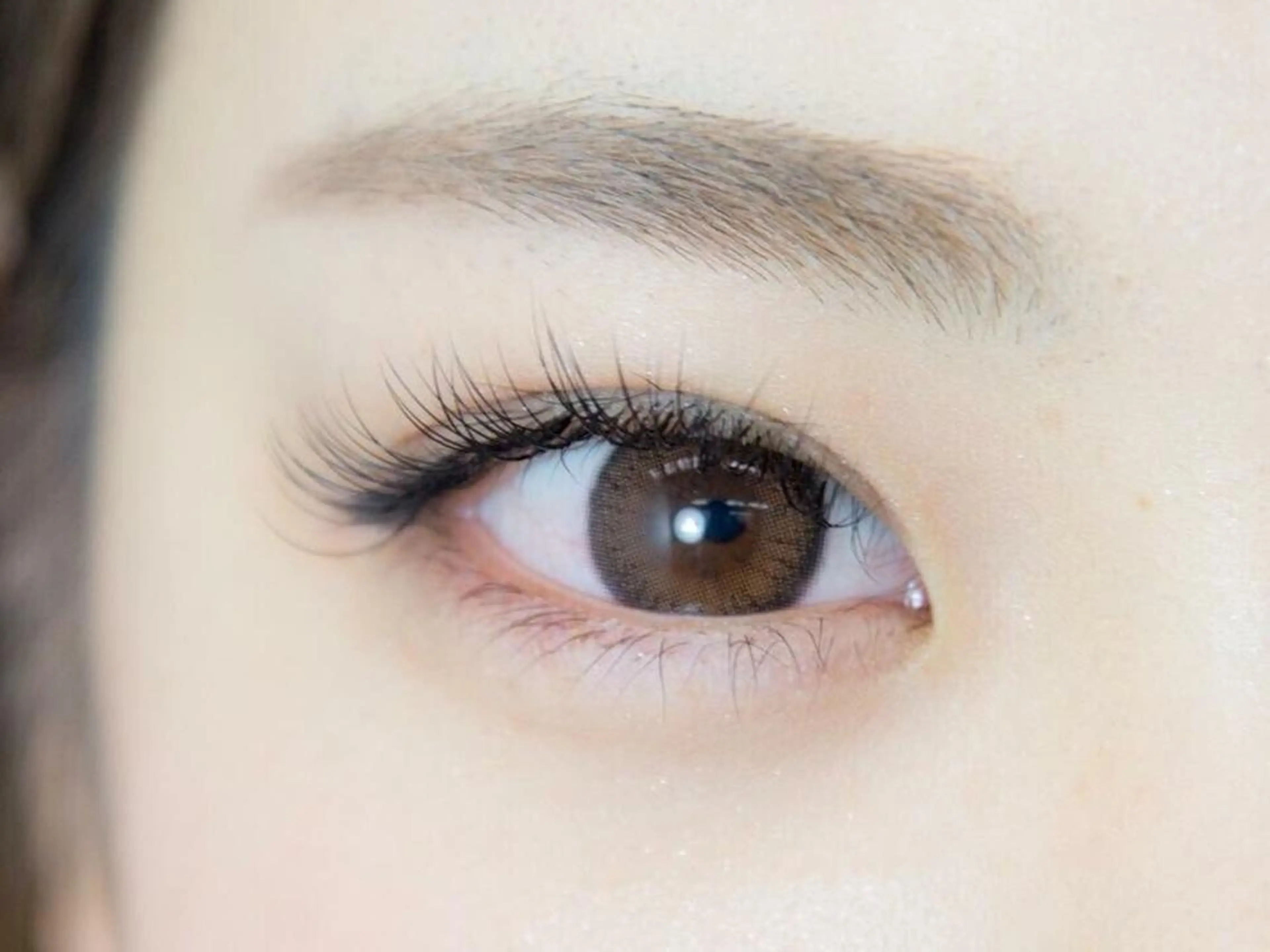 🦋眉毛カット🦋眉毛綺麗にします✨の写真