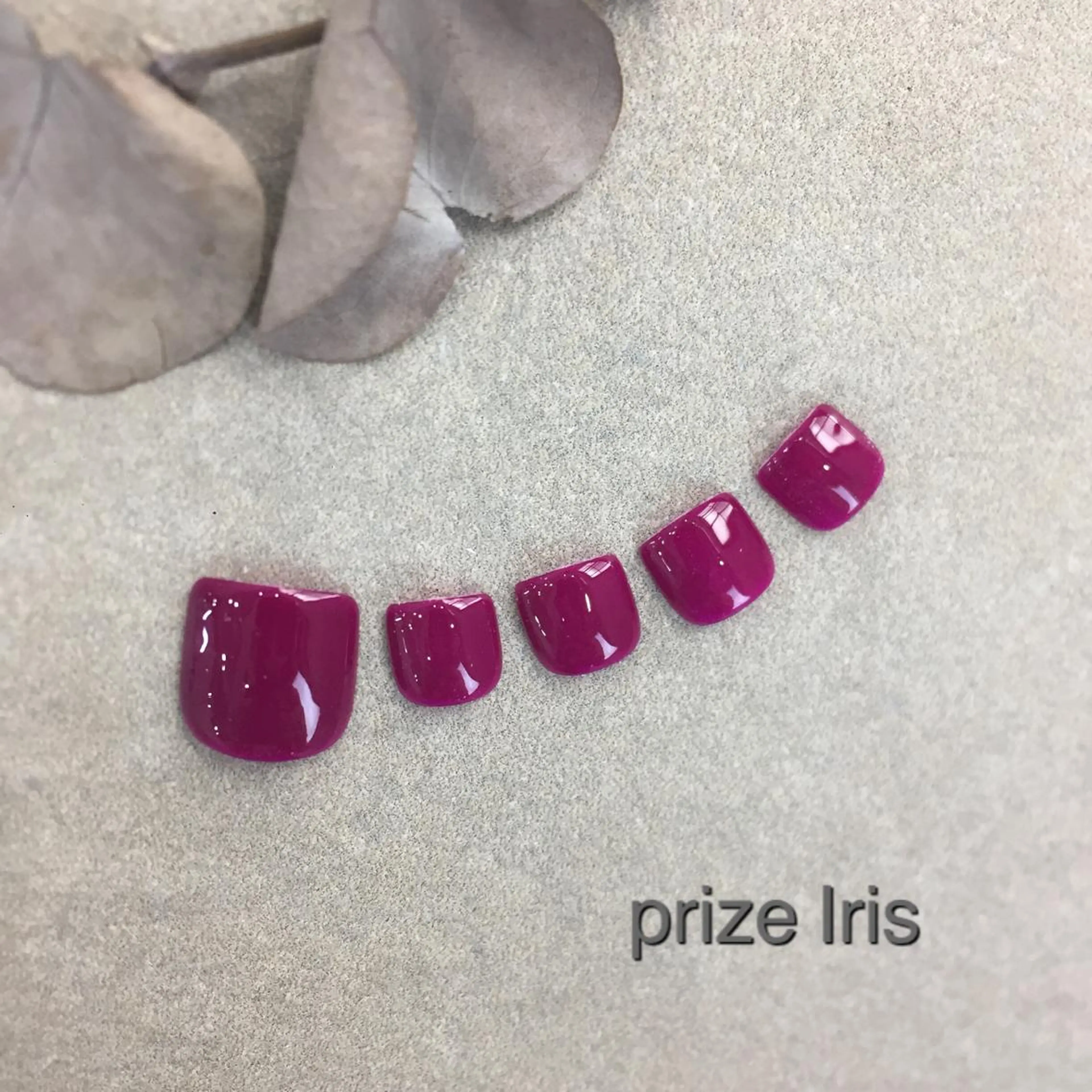ネイル フットネイル prizeIris 東のネイルデザイン