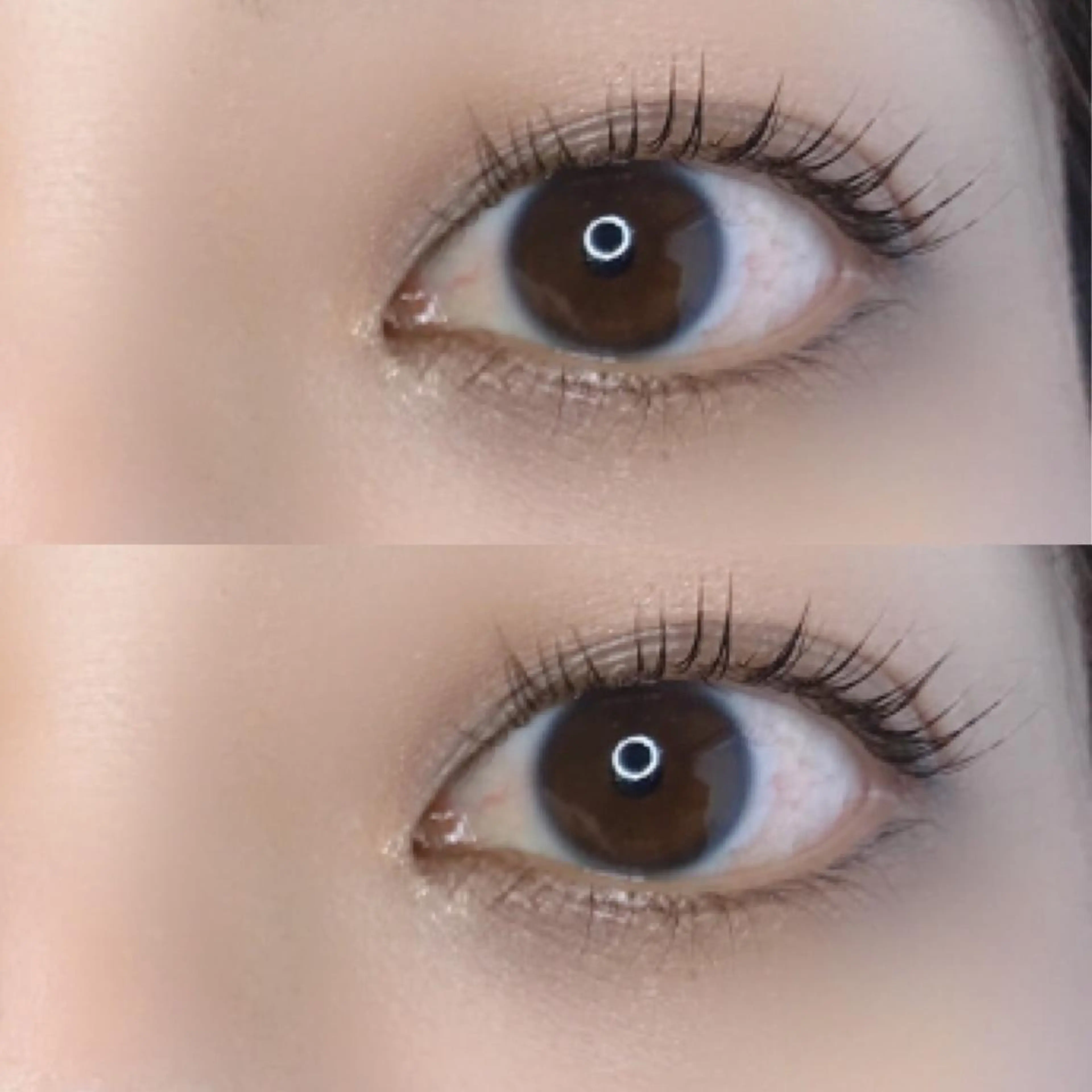 マツエク・マツパ 《eyelash ｉｉｔｅ》森のマツエク・マツパデザイン