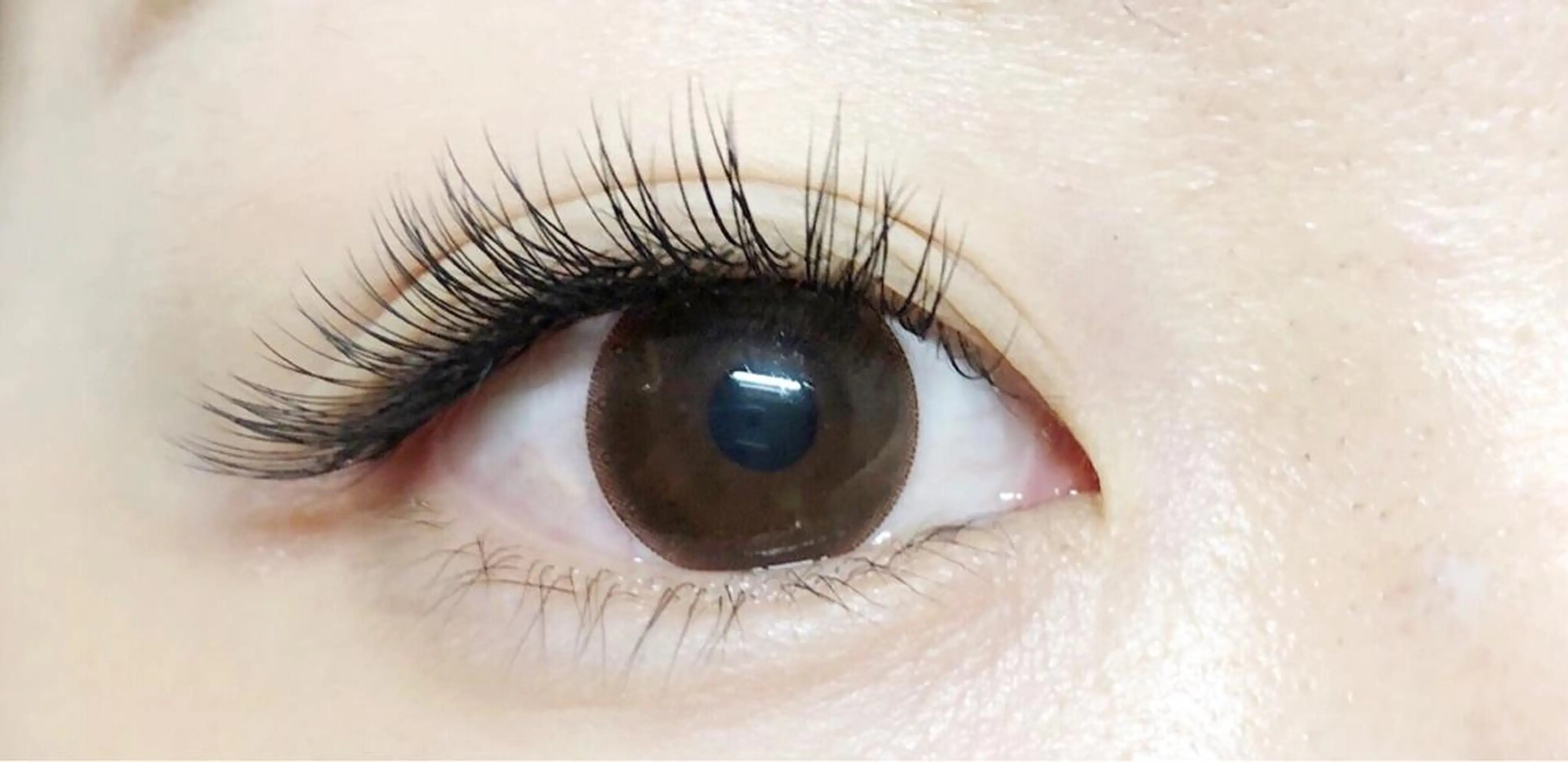 初回フラットラッシュ120本の写真