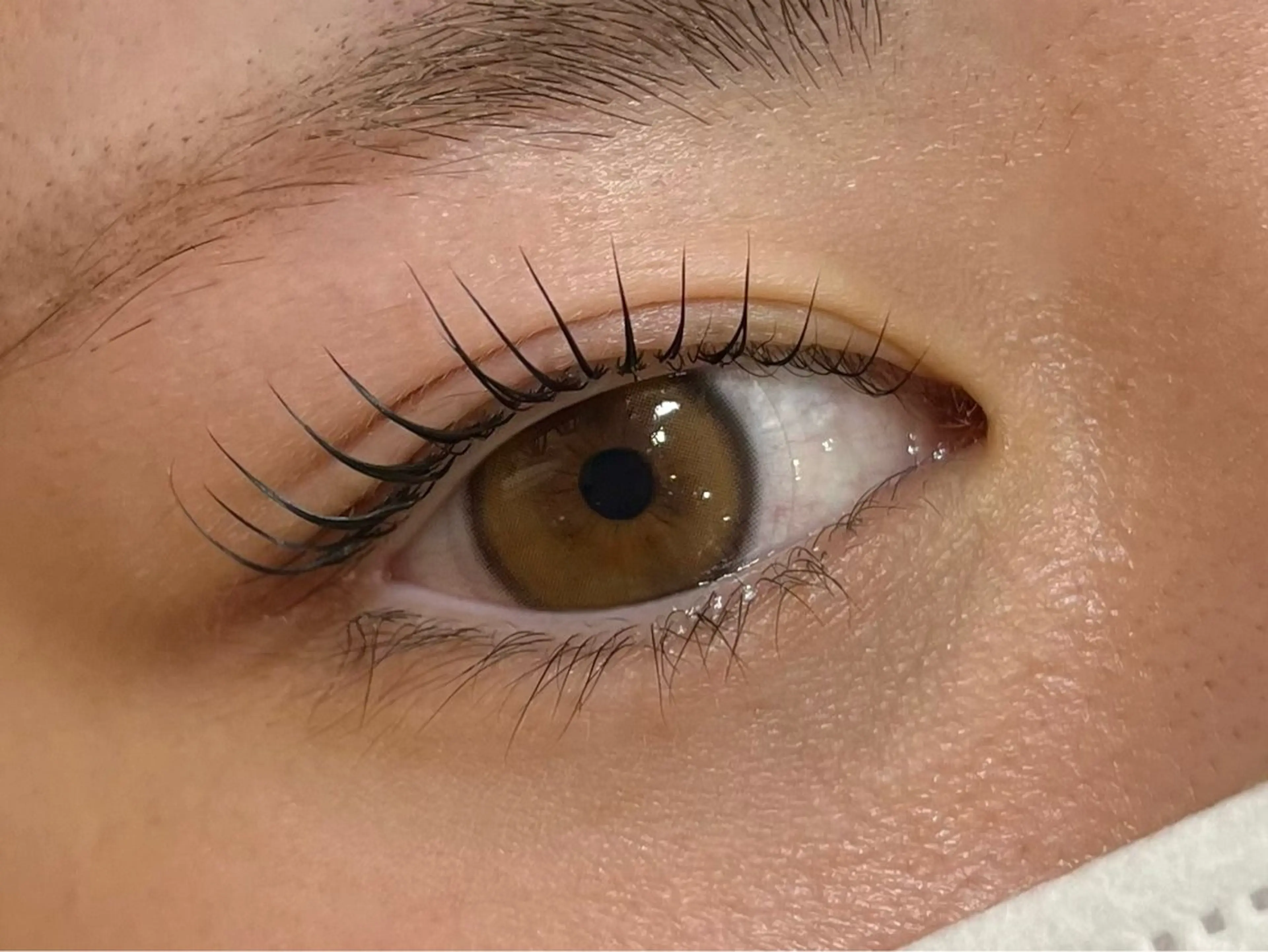 マツエク・マツパ マツパ Li-Fra NAGARASAYAのマツエク・マツパデザイン