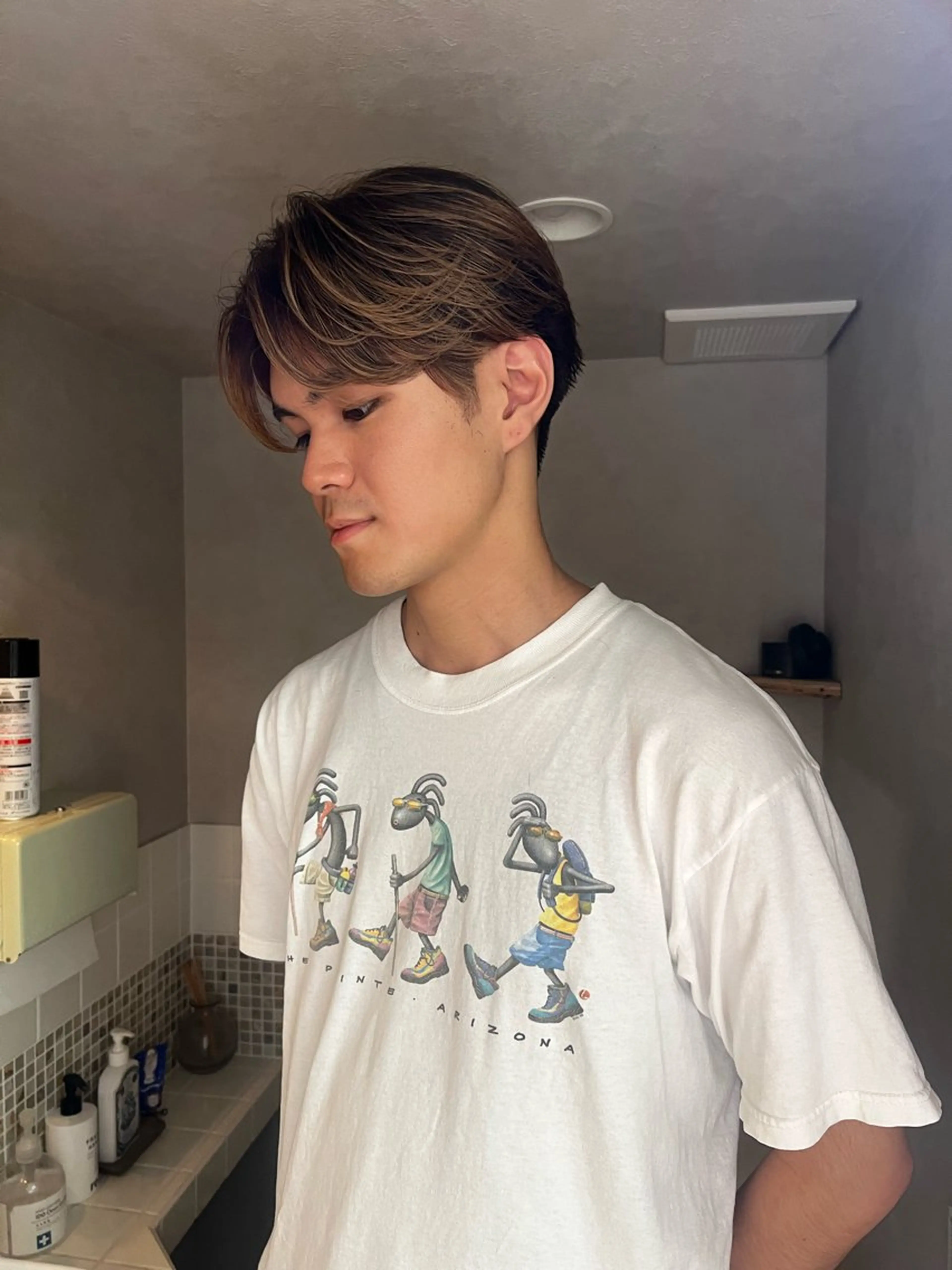 カラー メンズ nishido ハイライト/メンズのヘアスタイル