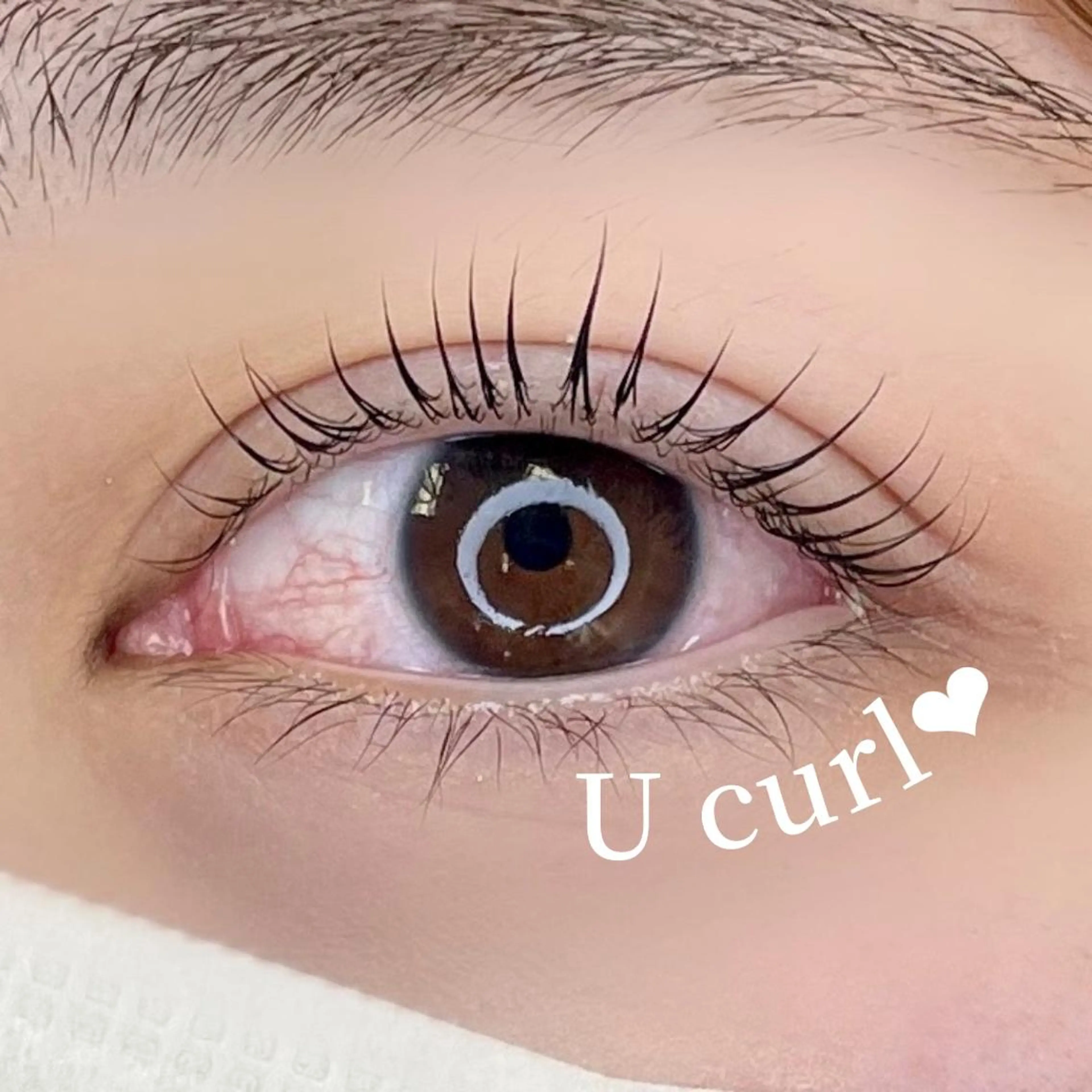 マツエク・マツパ マツパ 大阪福島 韓国まつげ Sayaka🤍🐩のマツエク・マツパデザイン