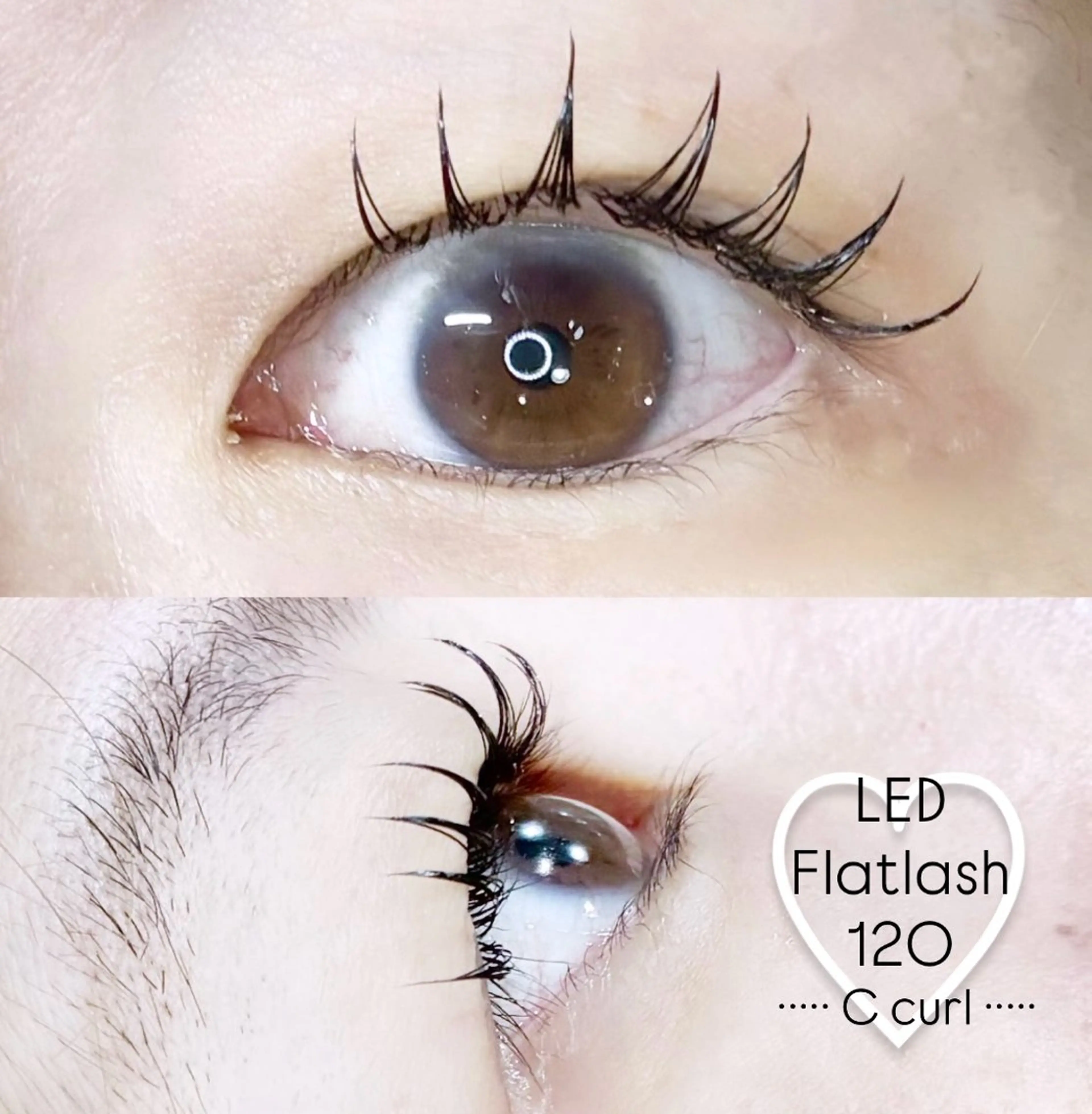 マツエク・マツパ LEDエクステ専門店 Fedis 京橋のマツエク・マツパデザイン