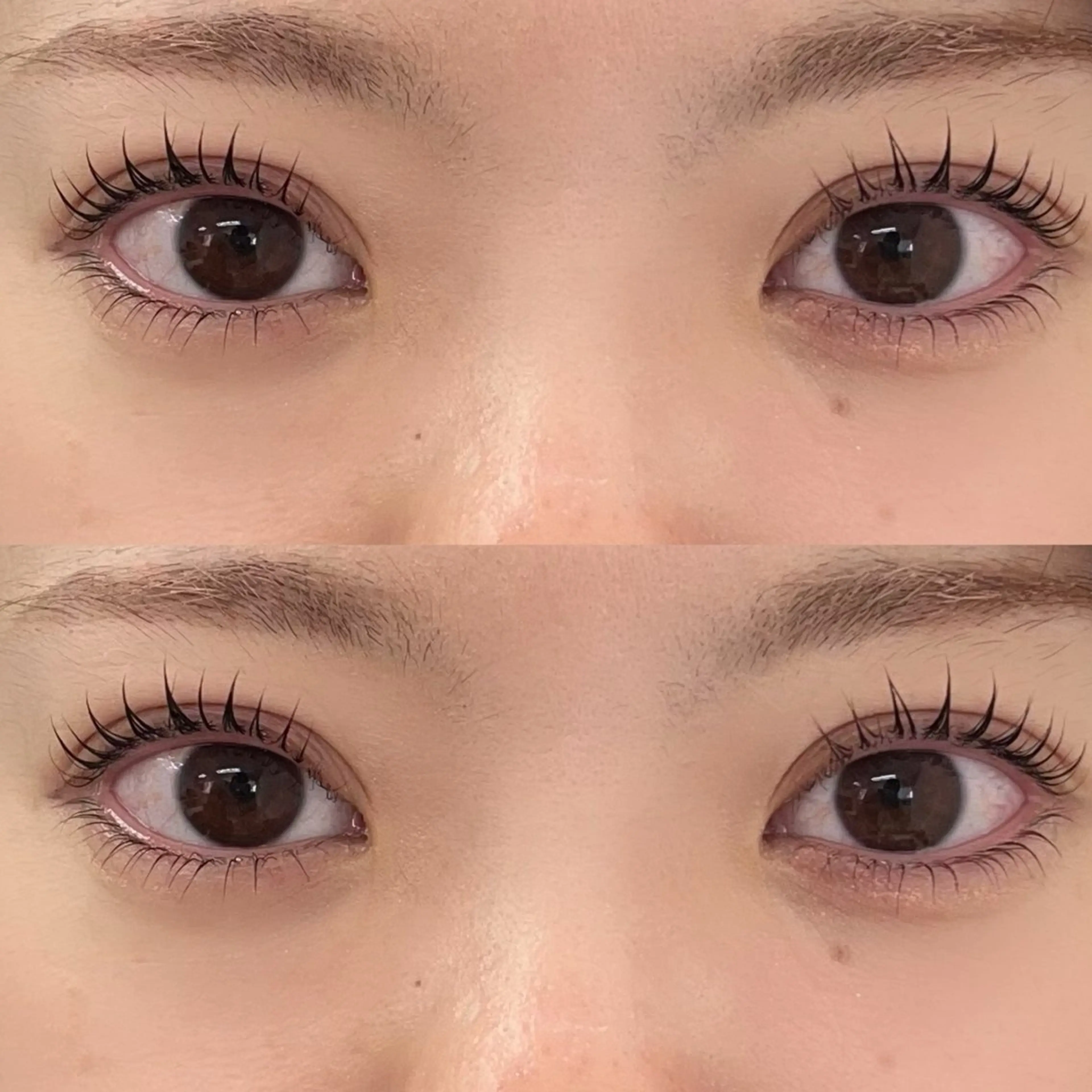 🪽人気No.1✨韓国風束感まつげパーマ(上下)🪽の写真