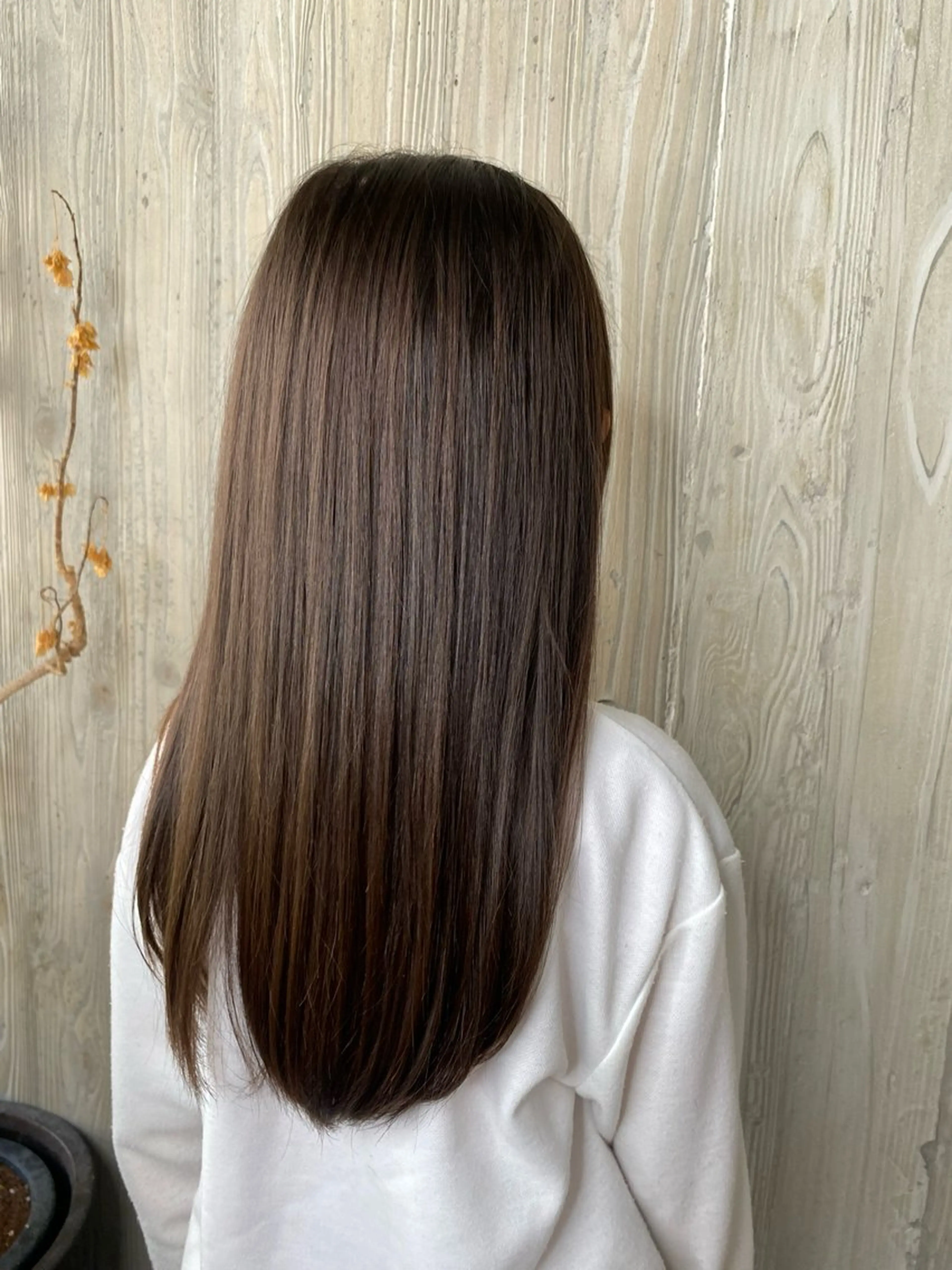 ✄𝑯𝒐𝒍𝒍𝒚𝒘𝒐𝒖𝒍𝒅 𝒕𝒓𝒆𝒂𝒕𝒎𝒆𝒏𝒕✄の写真