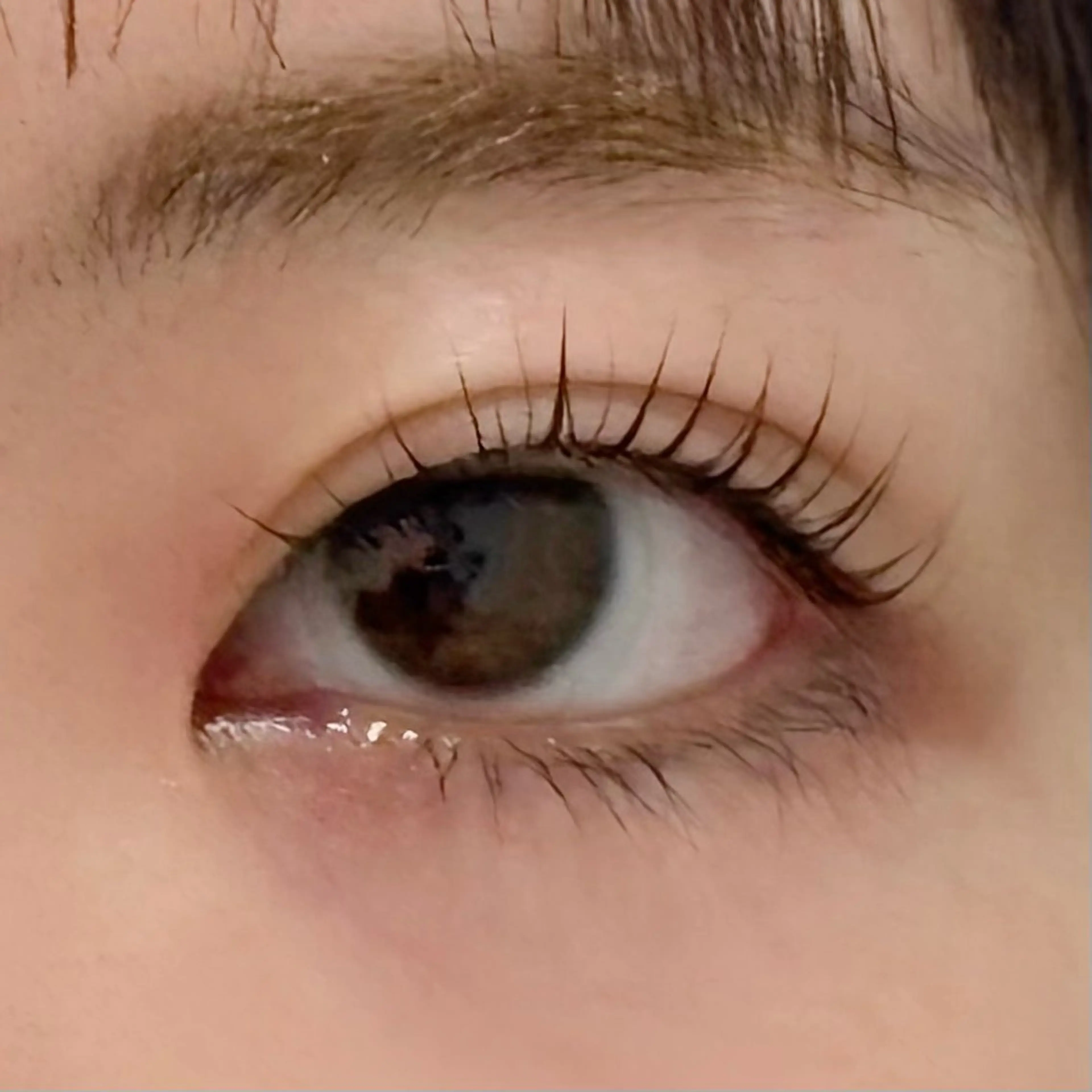 マツエク・マツパ あべ⠀しほ * 無料モデル募集中の眉毛・アイブロウイメージ