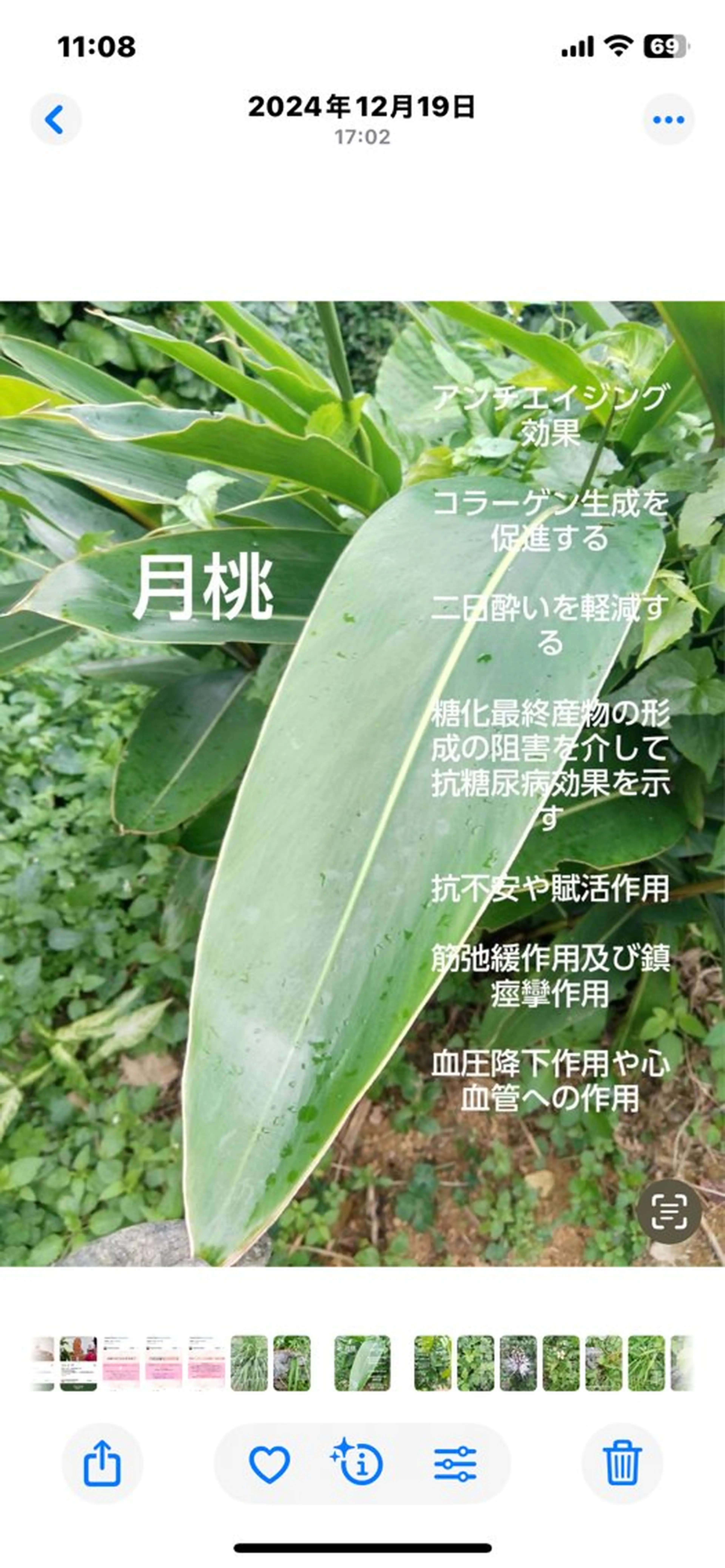 ミディアム メディカルサロン grlow所属・grlow グロウのエステ・リラクイメージ