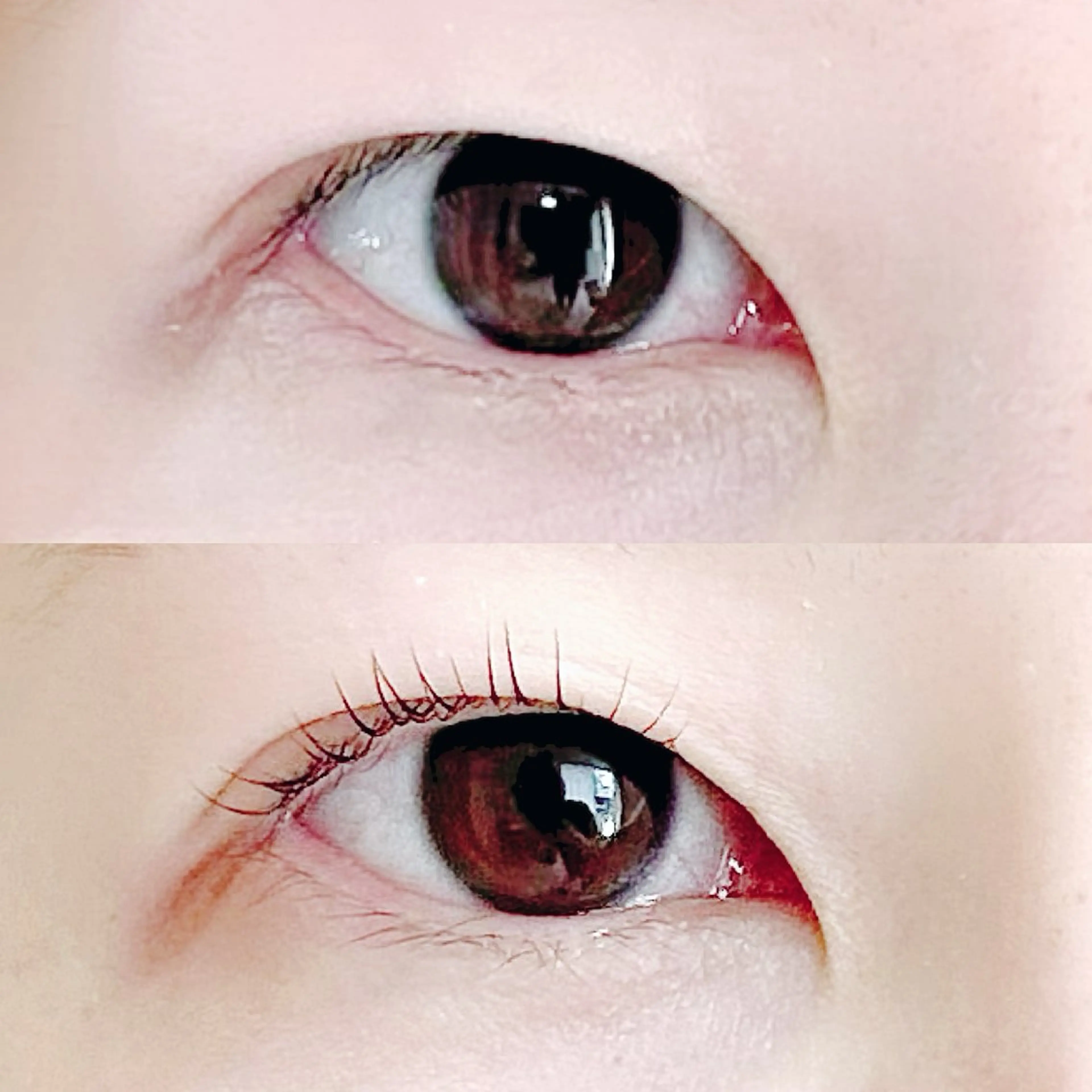 マツエク・マツパ 一重×まつ毛パーマ SOL ソルのその他イメージ