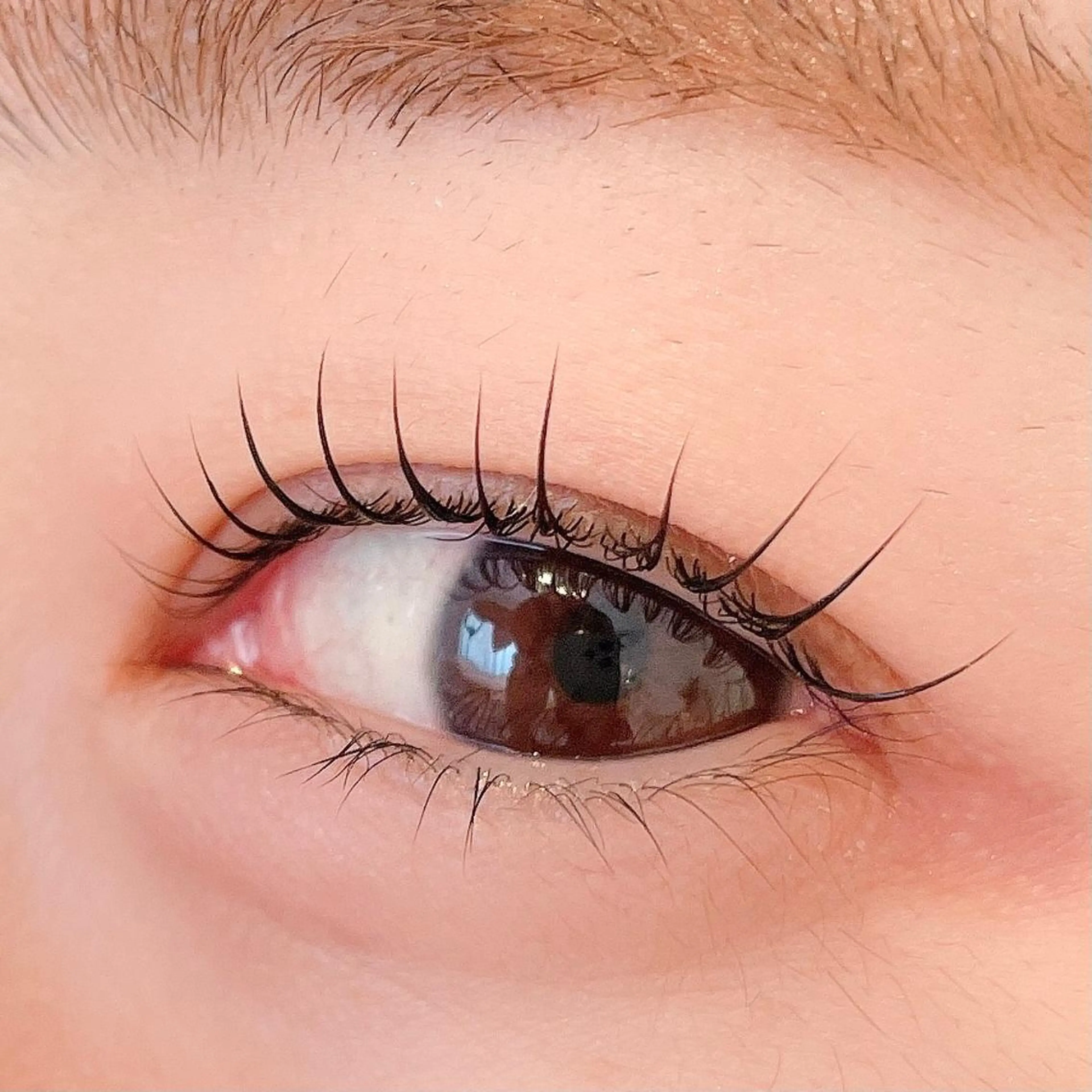 前回ご来店より２ヶ月以上💛まつ毛パーマ上💛リピーター様🌈 予約枠が空いていない場合、インスタをご確認下さいの写真