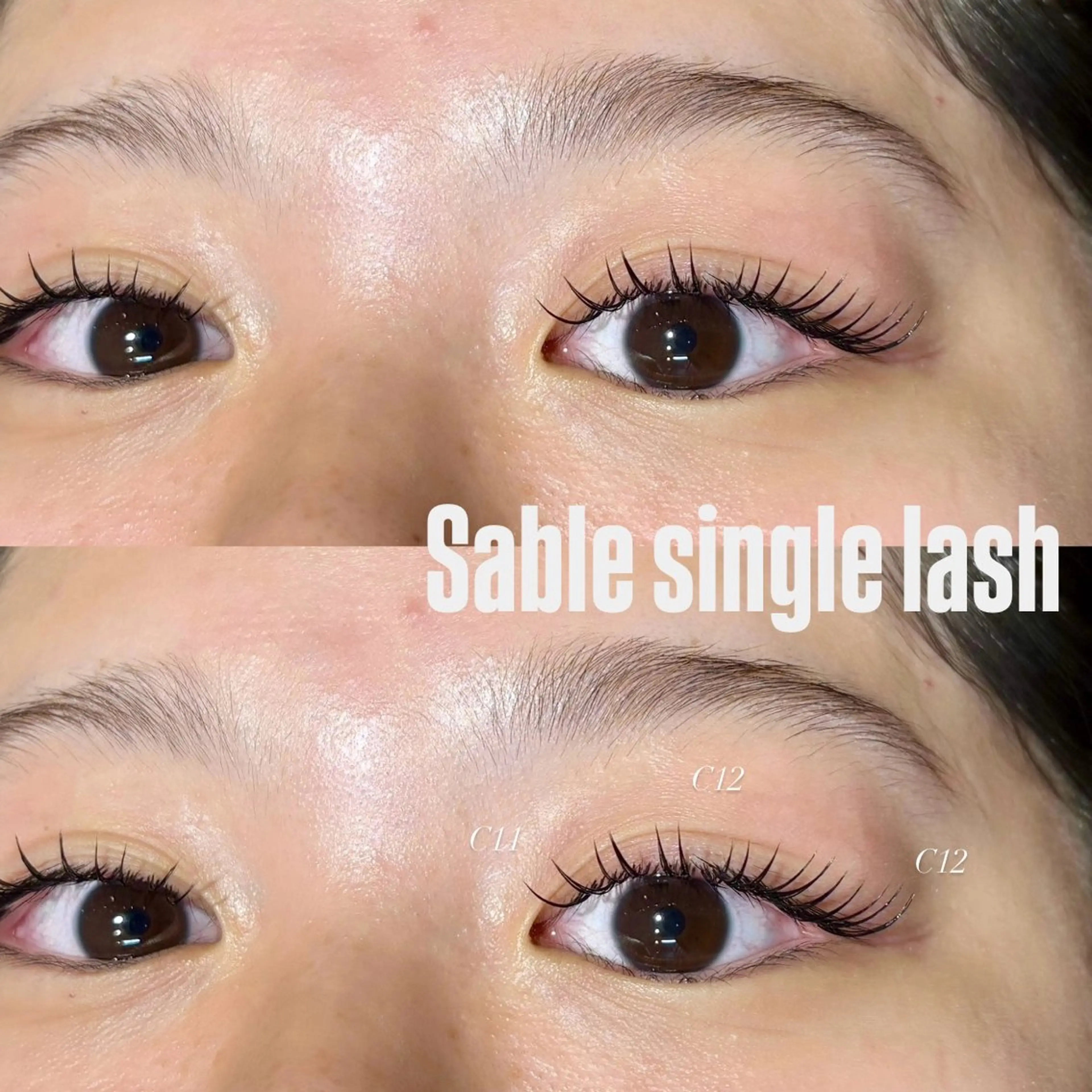 【地域最安値🪄】最高級セーブルシングルラッシュ100本の写真