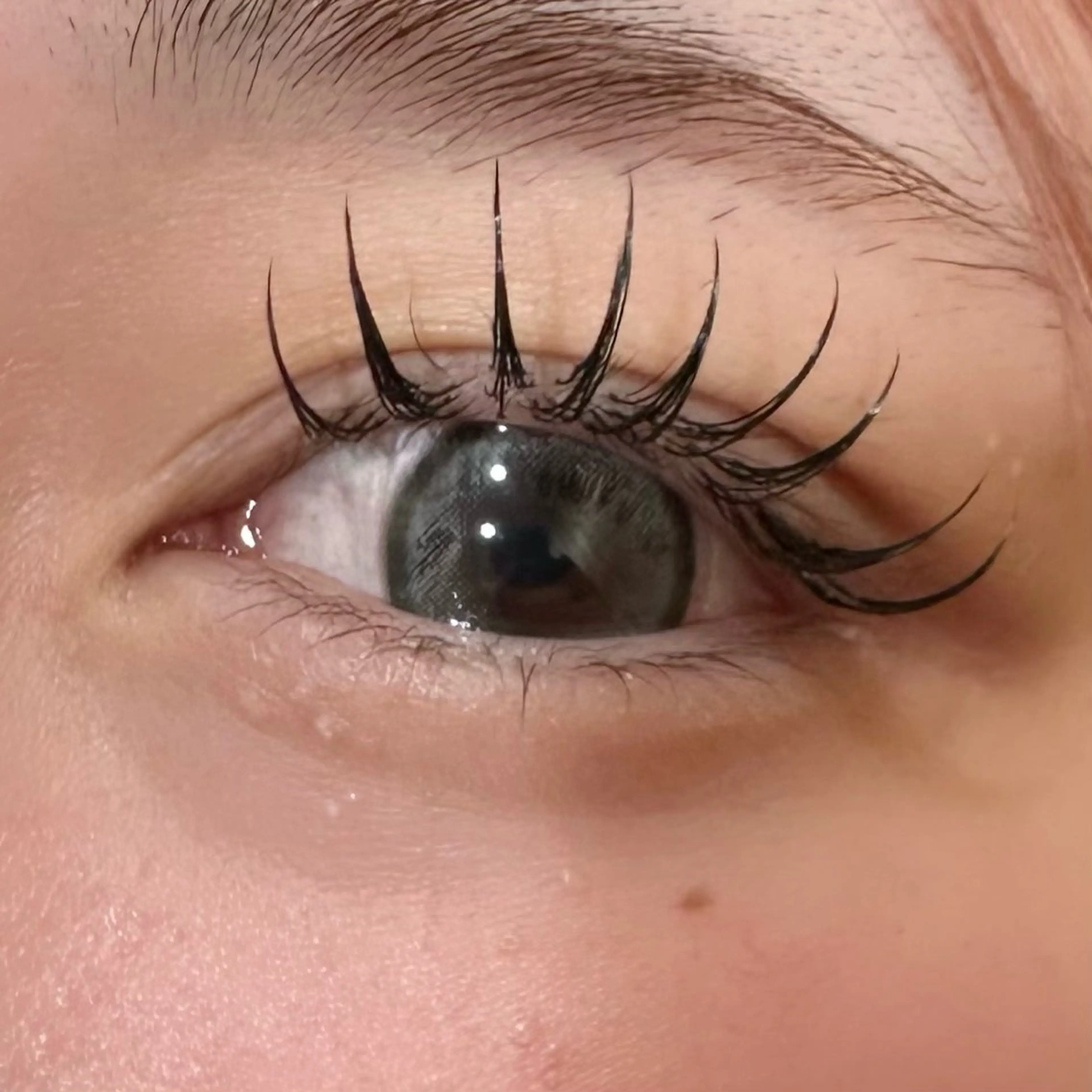 【初回限定🎀】パリエク160本の写真