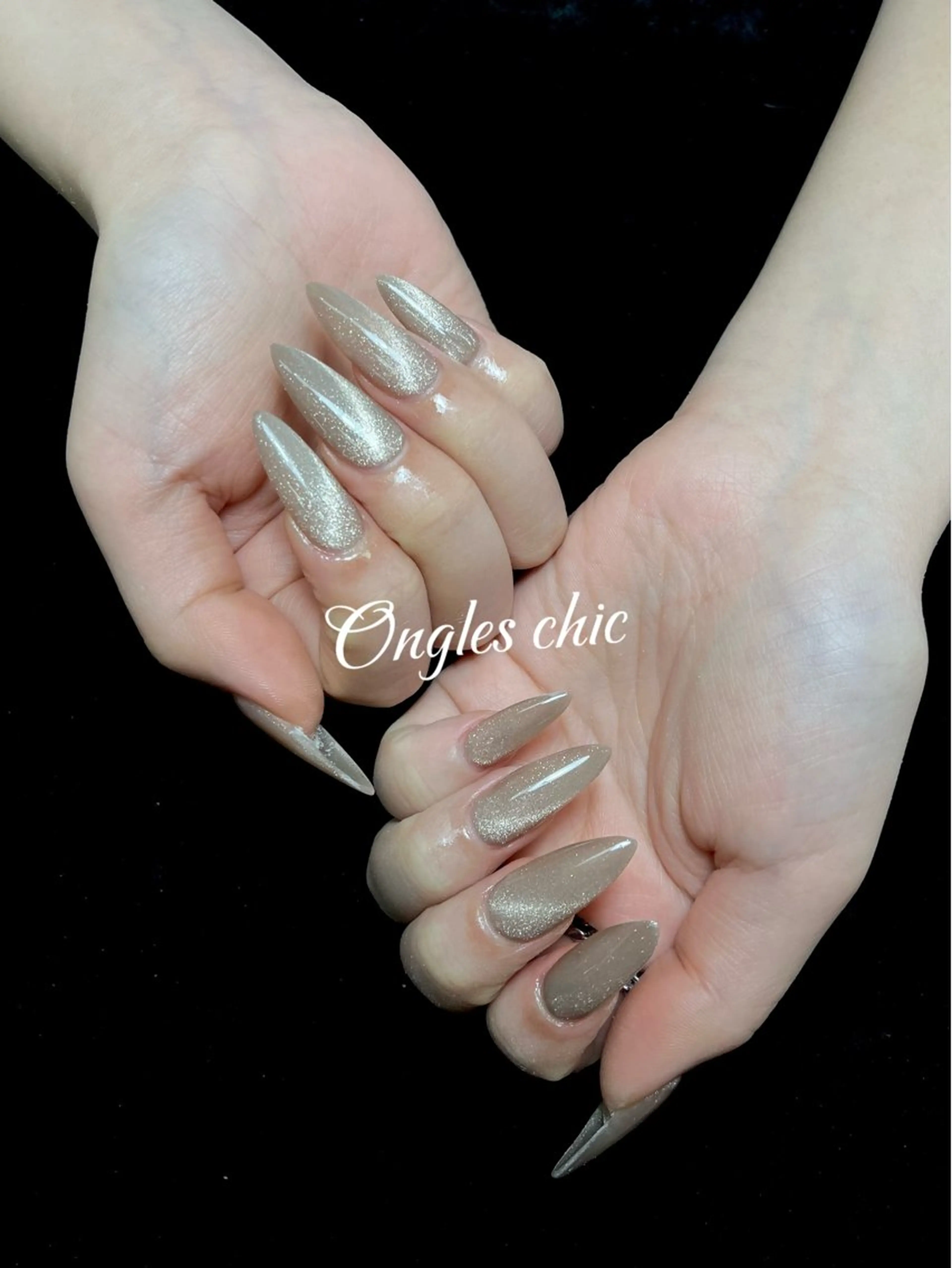 ネイル ハンドネイル ongles chicのネイルデザイン