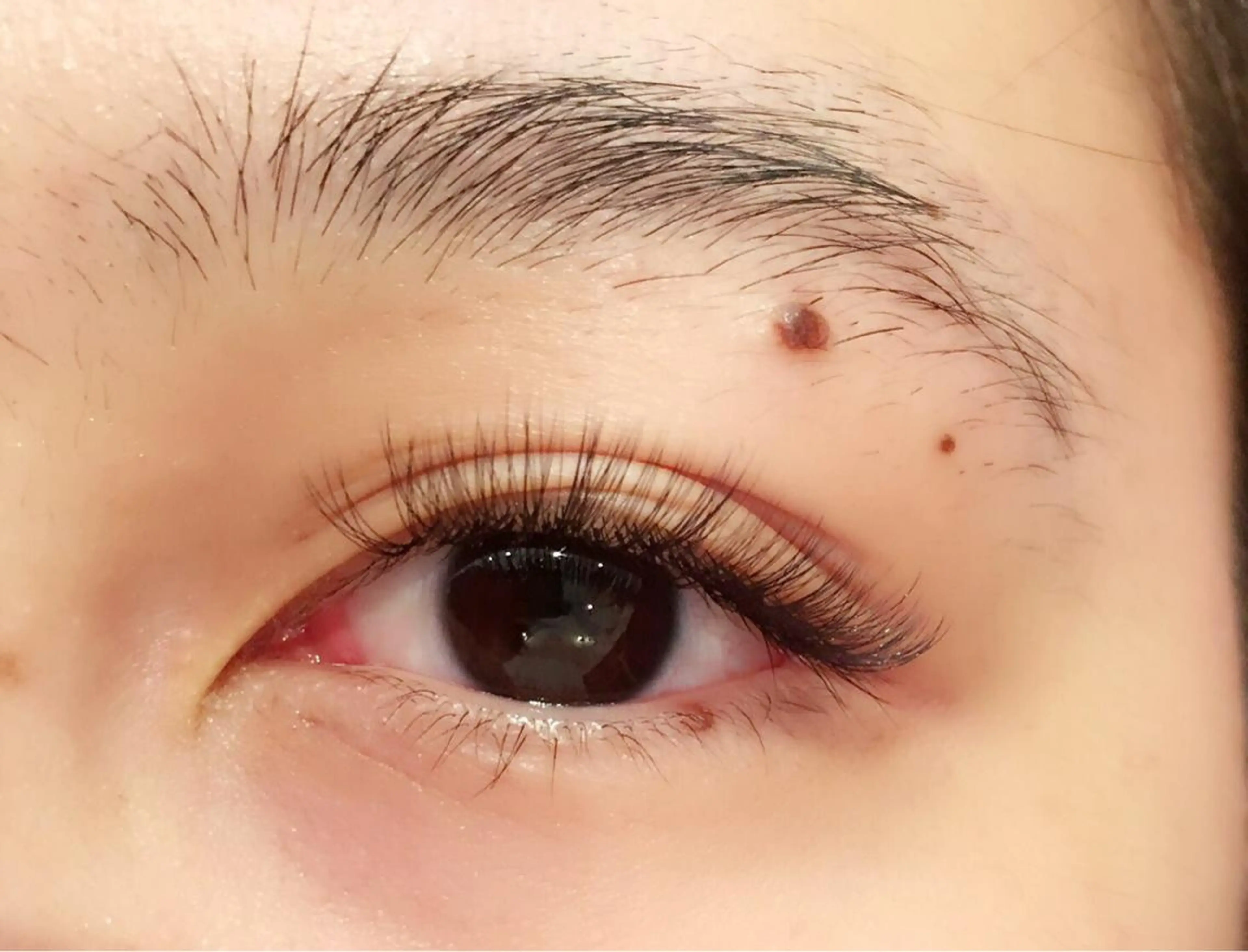 マツエク・マツパ ボリュームラッシュ Riche 吉祥寺所属・リッシュ 吉祥寺のマツエク・マツパデザイン