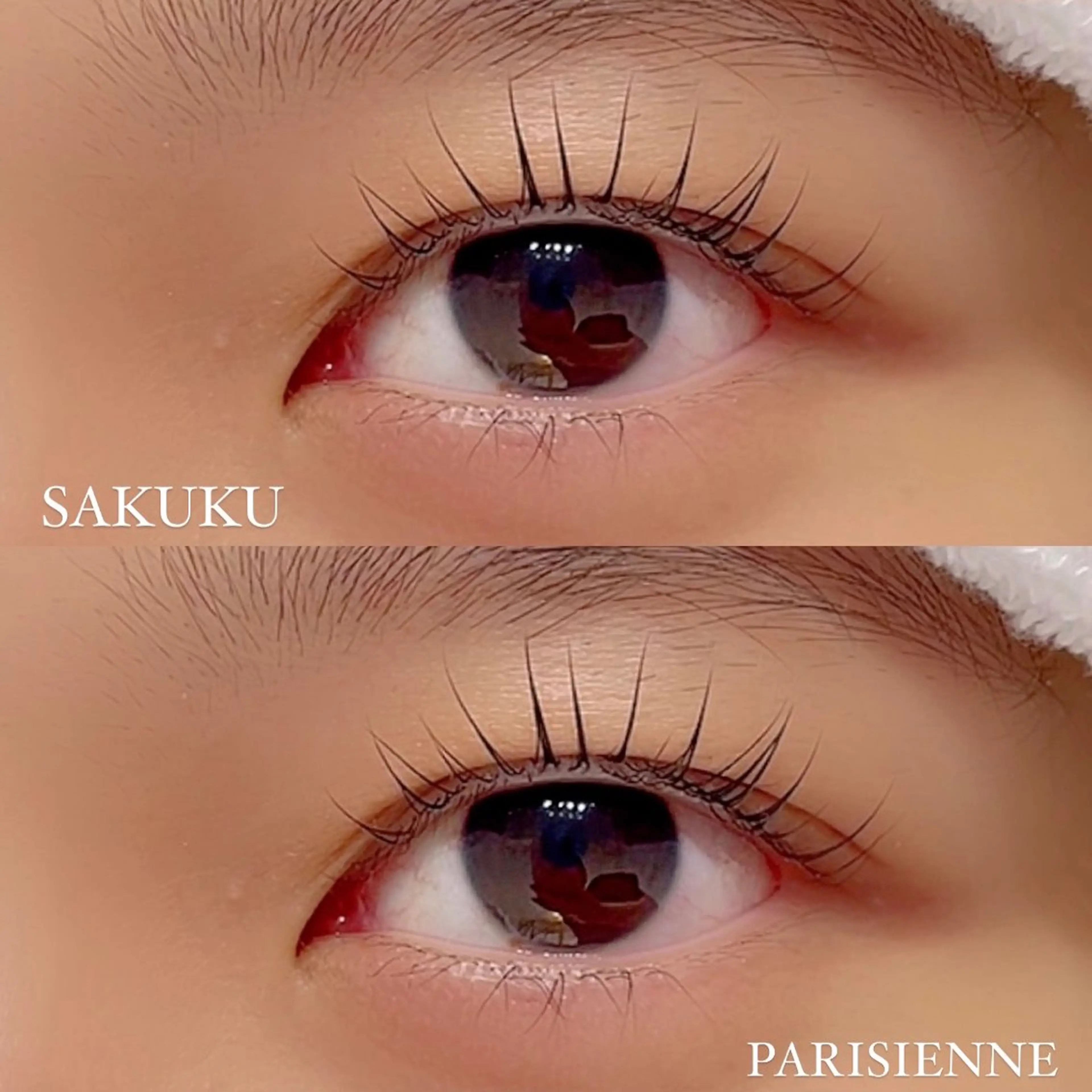 マツエク・マツパ SAKUKU韓国式 まつ毛パーマ専門店のマツエク・マツパデザイン