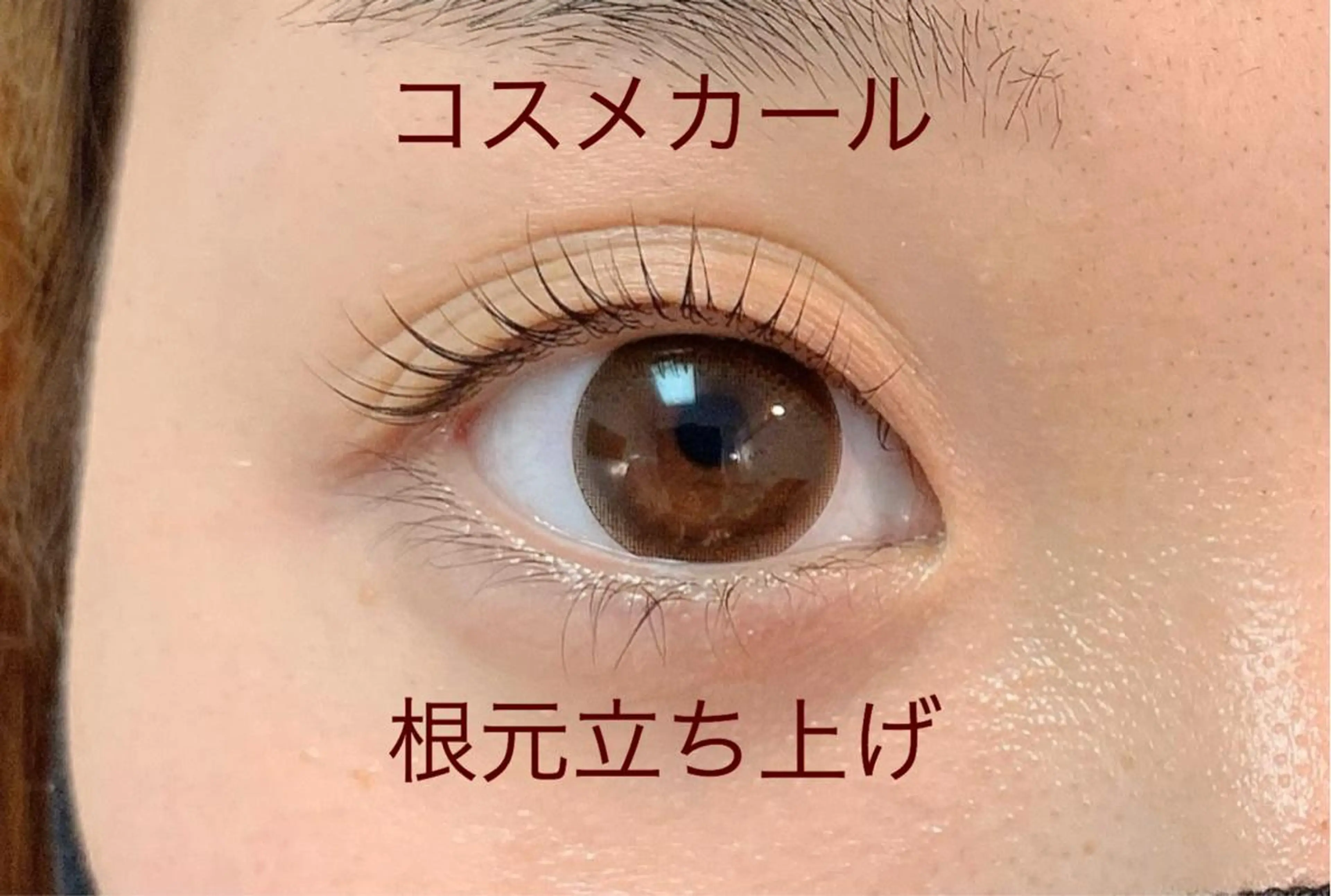 マツエク・マツパ Cia (シア)所属・AYAKA ICHIHARAの眉毛・アイブロウイメージ