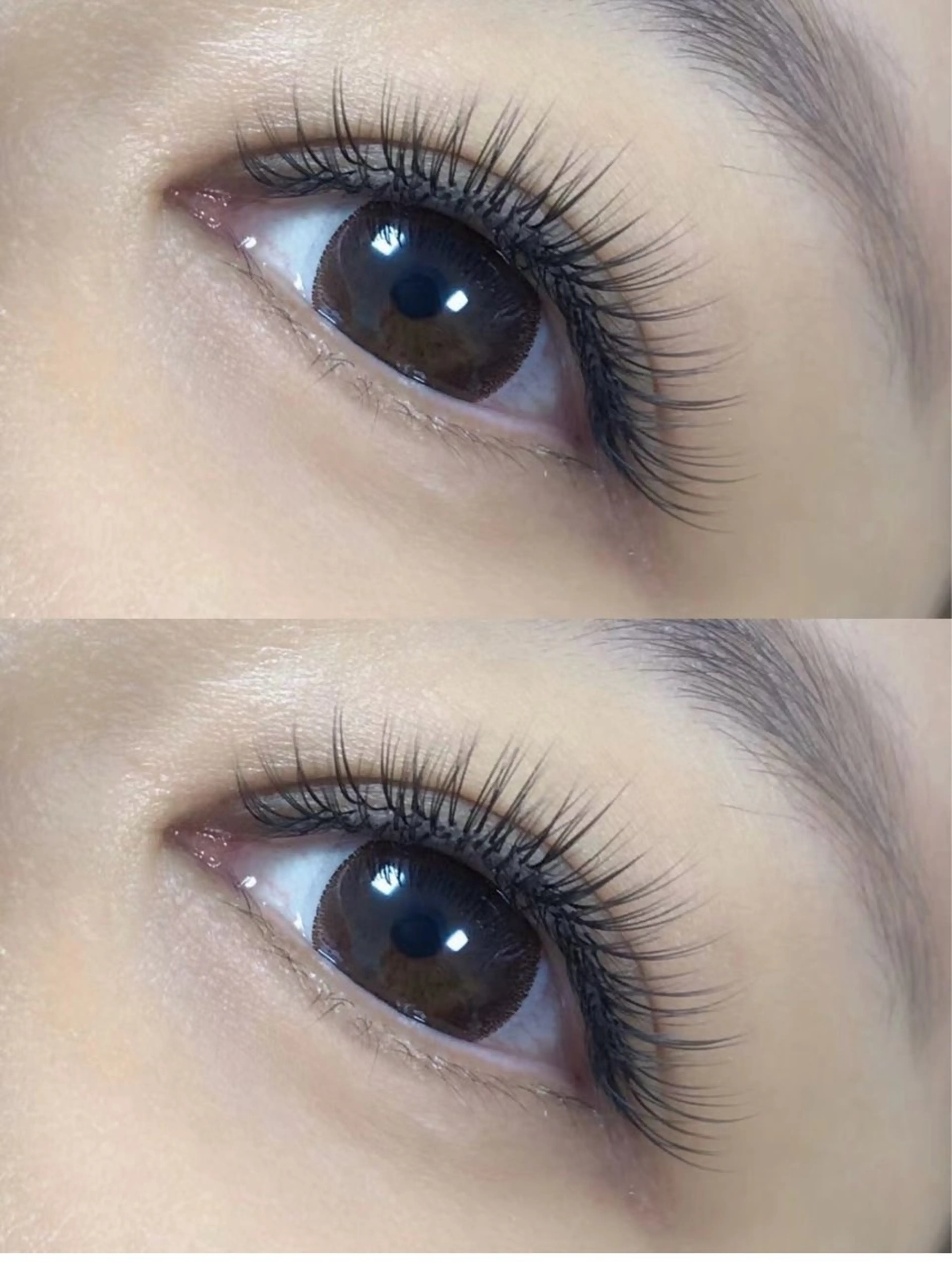 ［🍒19時まで限定]🌹ボリュームアップ🌹ダブルフラットラッシュ100束➕LED［史上最強持ち]の写真