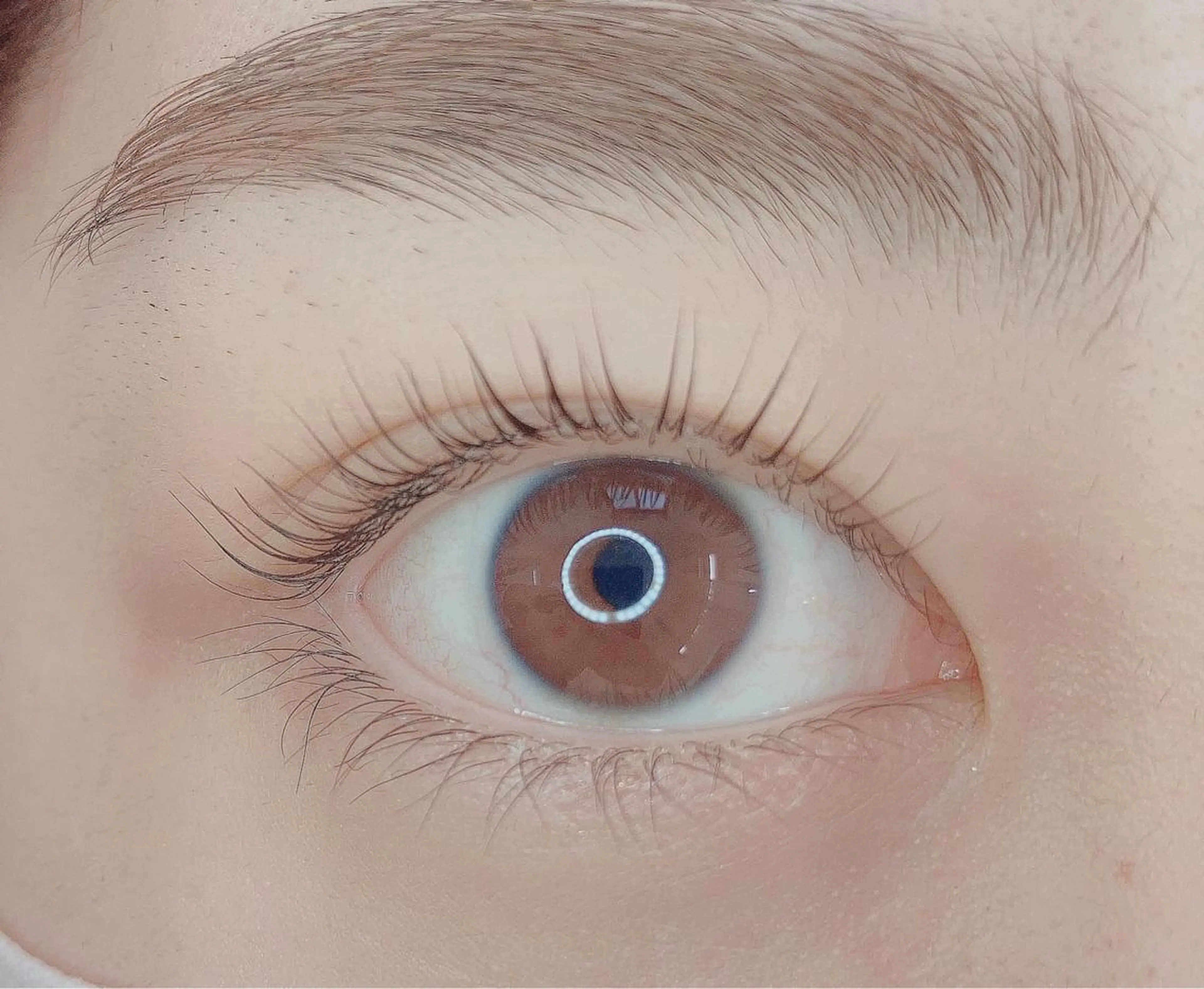 マツエク・マツパ TIARA池袋西口店 店長YASUKA💐のマツエク・マツパデザイン