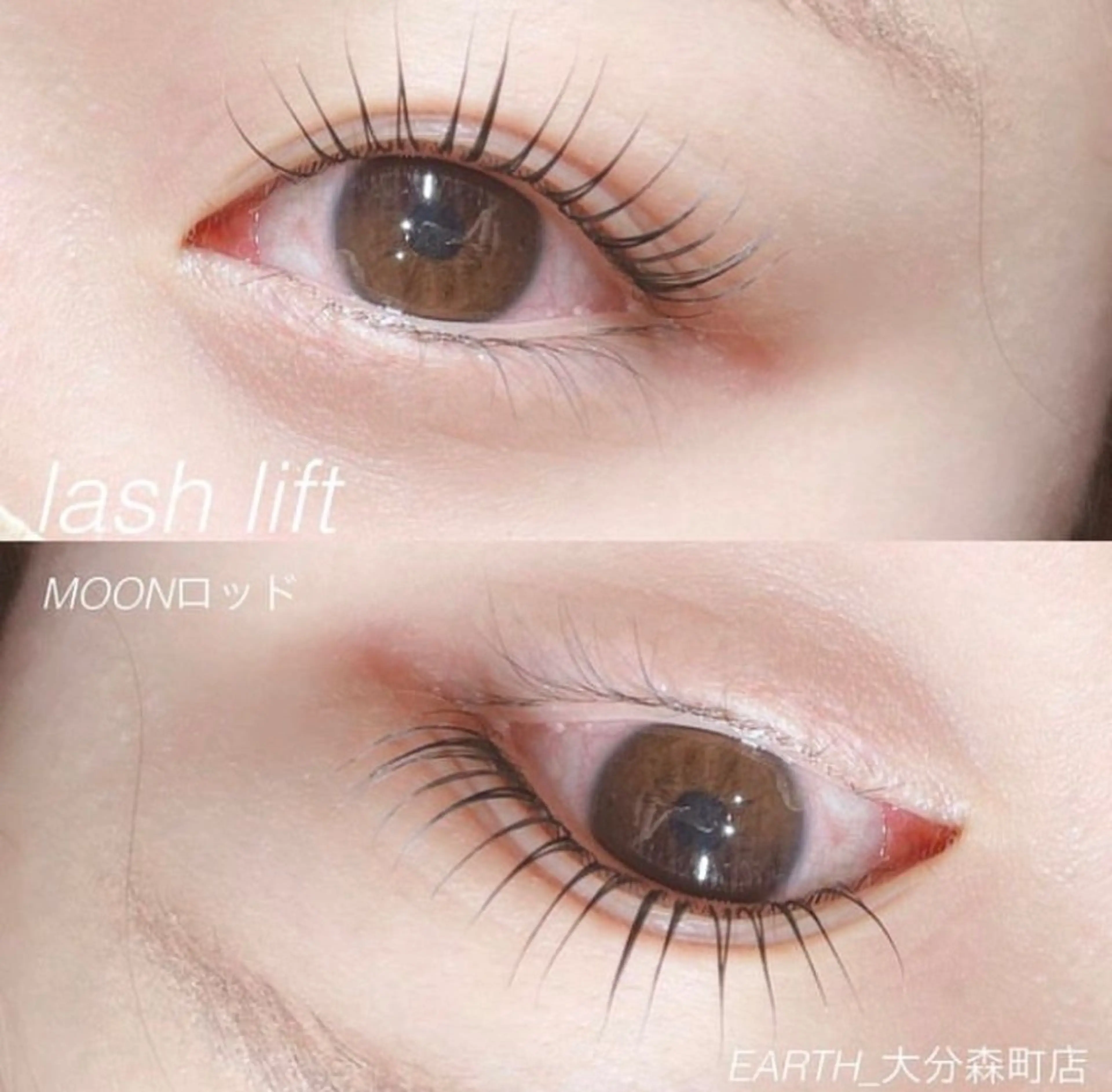 ご新規様🇰🇷韓国式まつげパーマ(🌟ぱっちり長く見せる立ち上げカールデザイン🌟)の写真