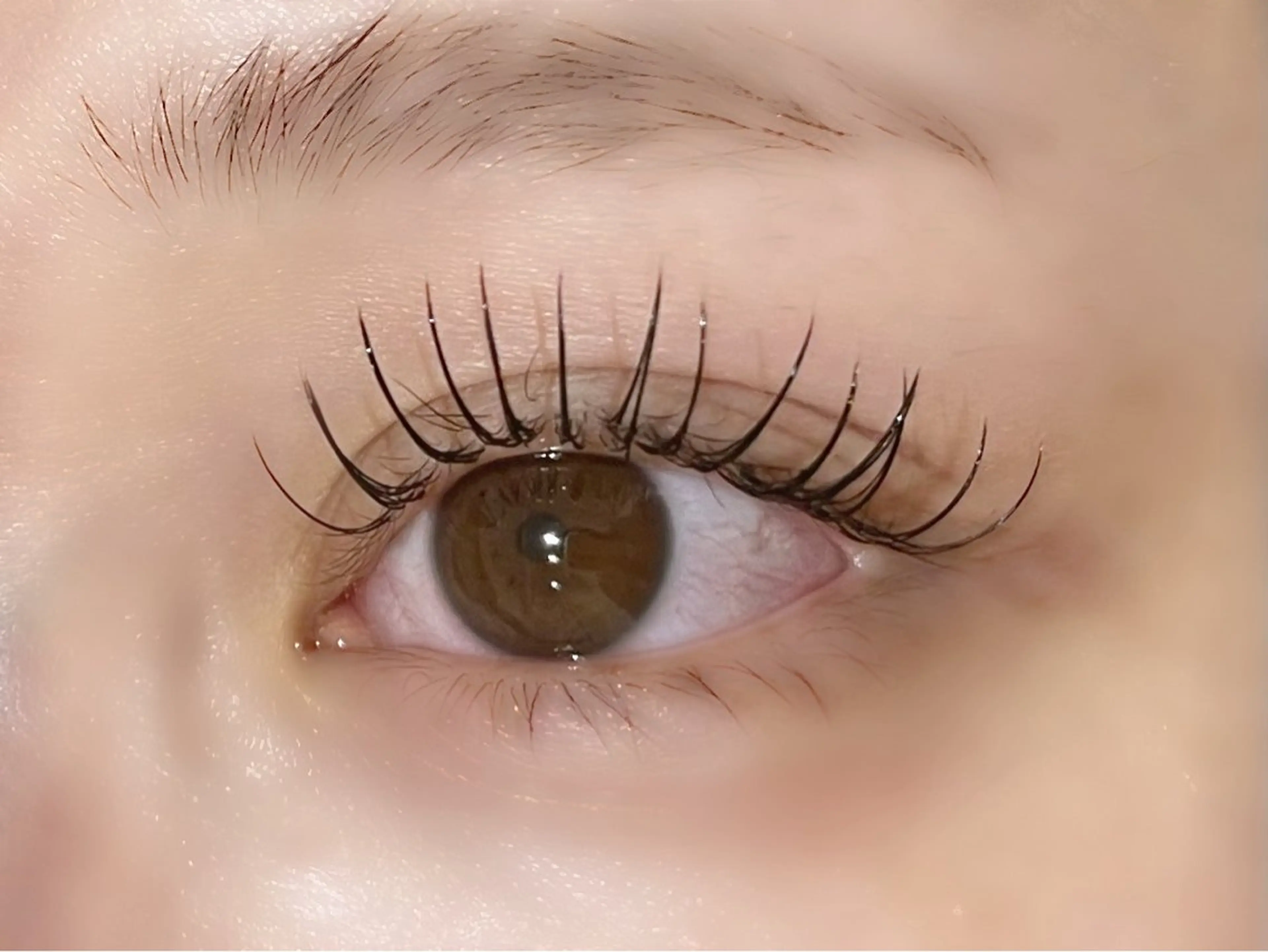 期間限定特別価格✨️フラット付け放題(オフなし100本保証)＆アイブロウWAXの写真