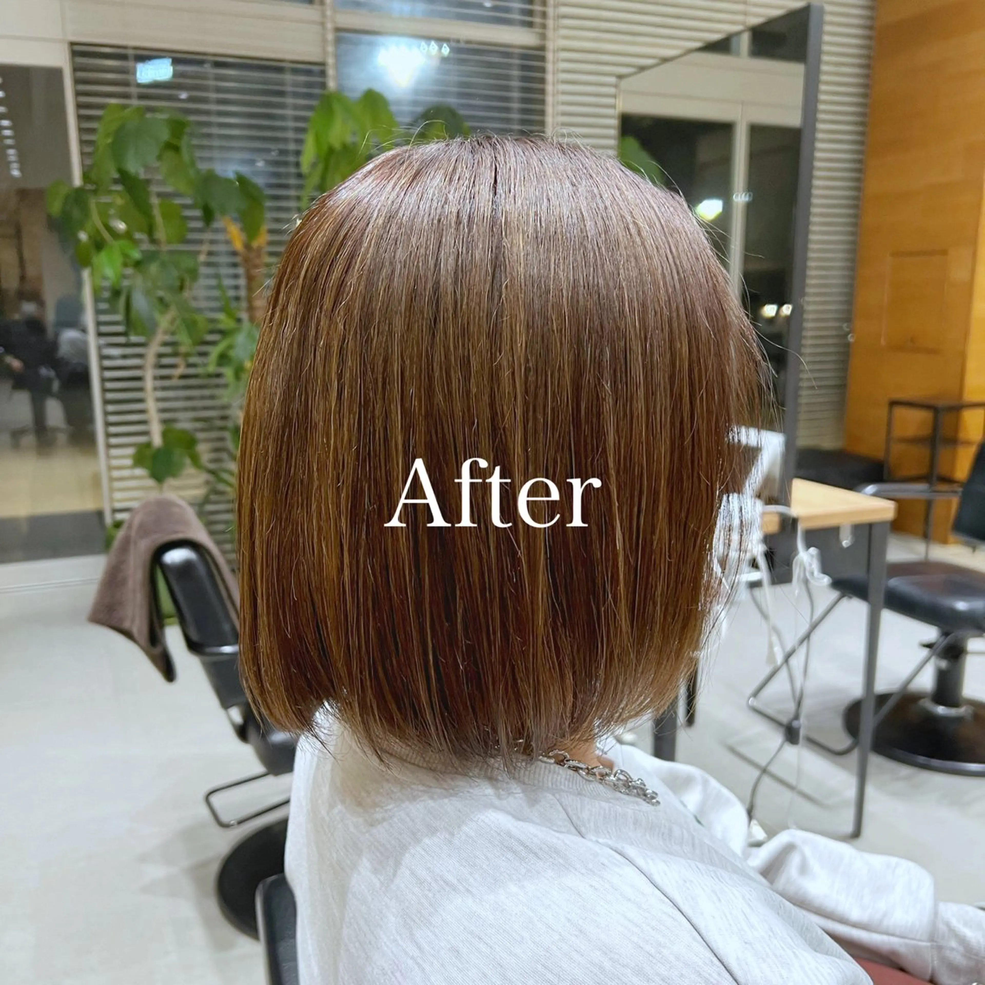 ショート カラー レディースヘア💫 加藤たいが🐯のヘアスタイル