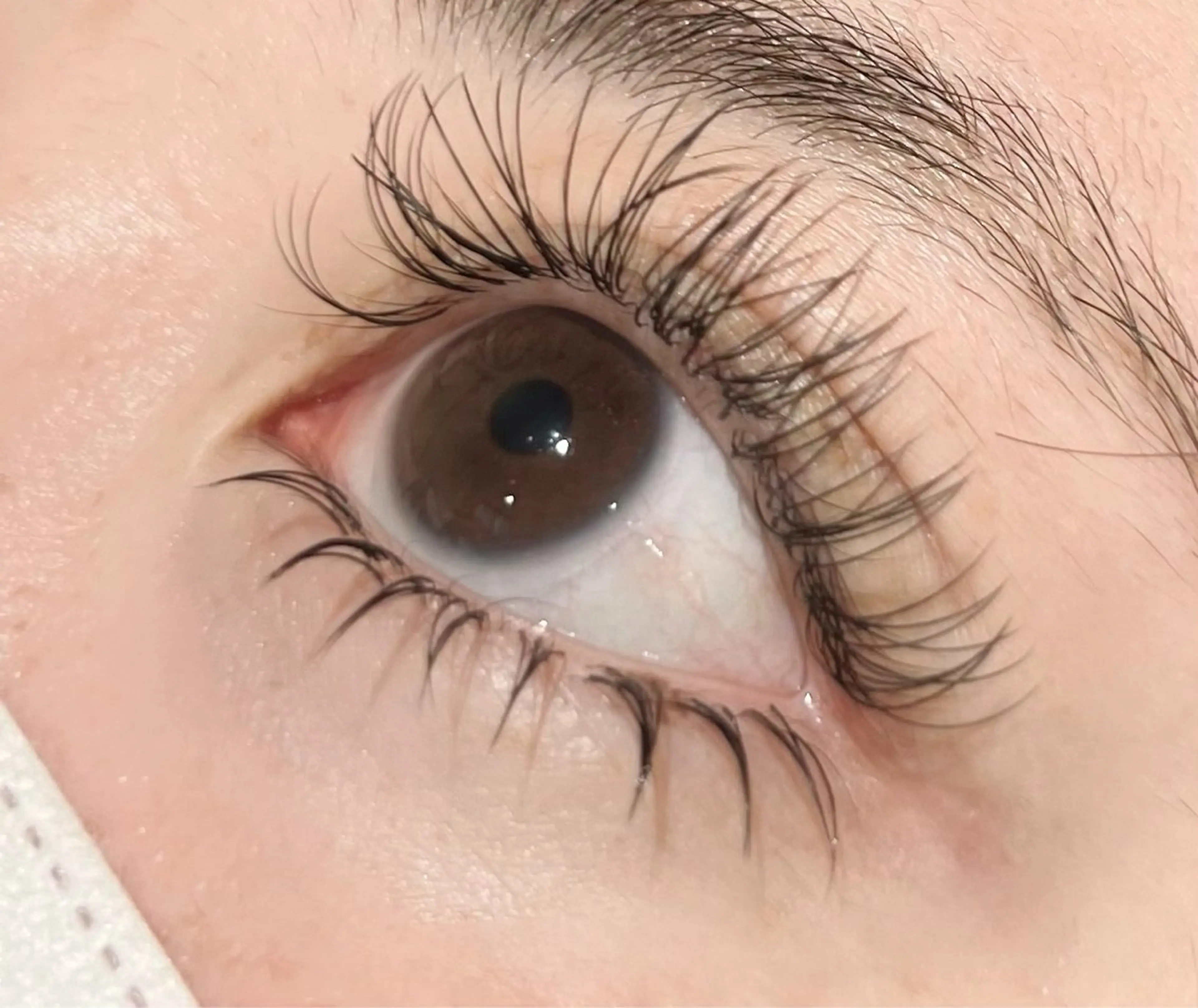 マツエク・マツパ 下まつげエクステ 野口 結莉奈のマツエク・マツパデザイン