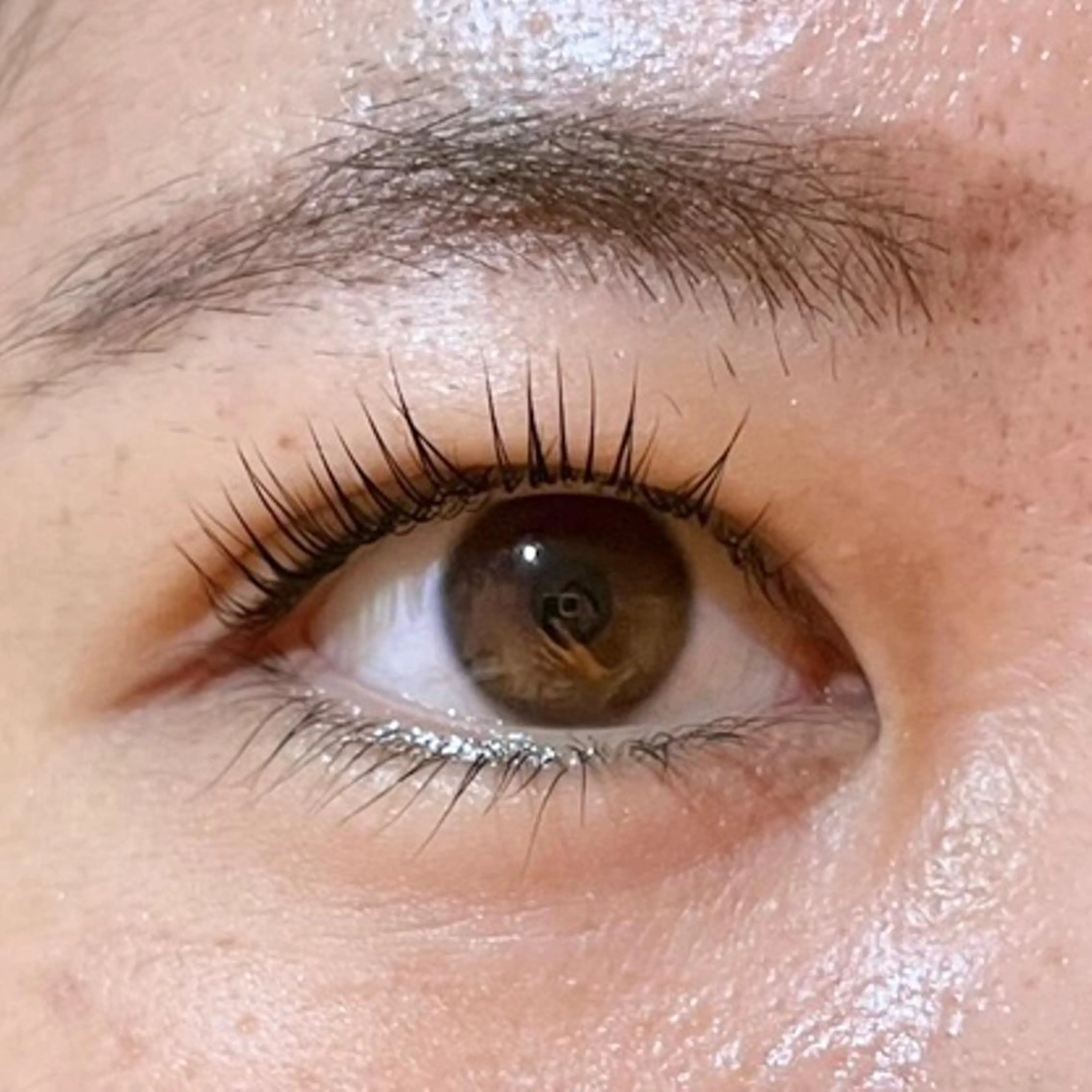 マツエク・マツパ 韓国風マツエク パリジェンヌラッシュリフト 一重×まつ毛パーマ 𝙎𝙚𝙞𝙧𝙖 ☆カット/パーマのヘアスタイル