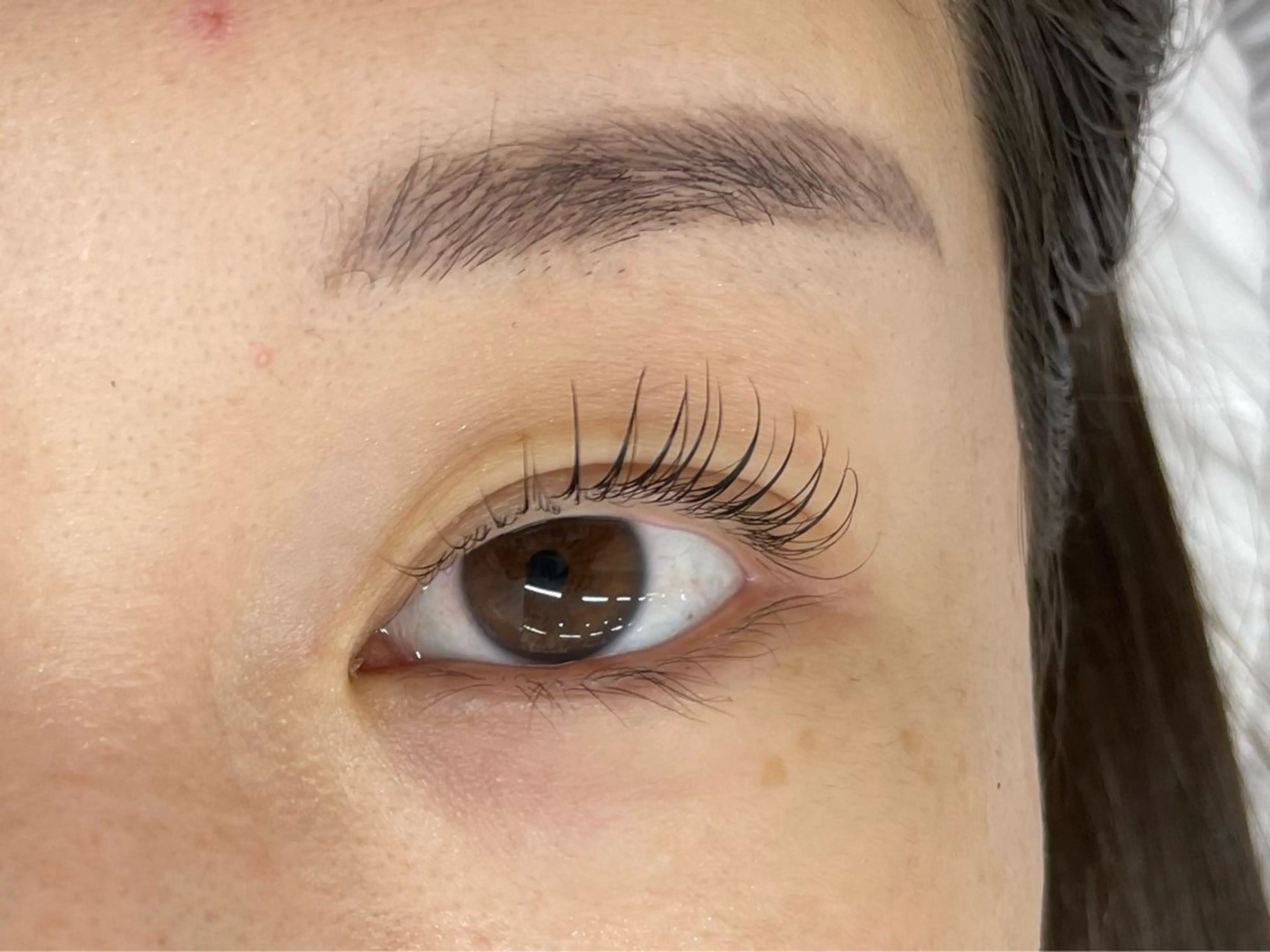 マツエク・マツパ マツパ マリーテレジア 🪻YUKAのマツエク・マツパデザイン