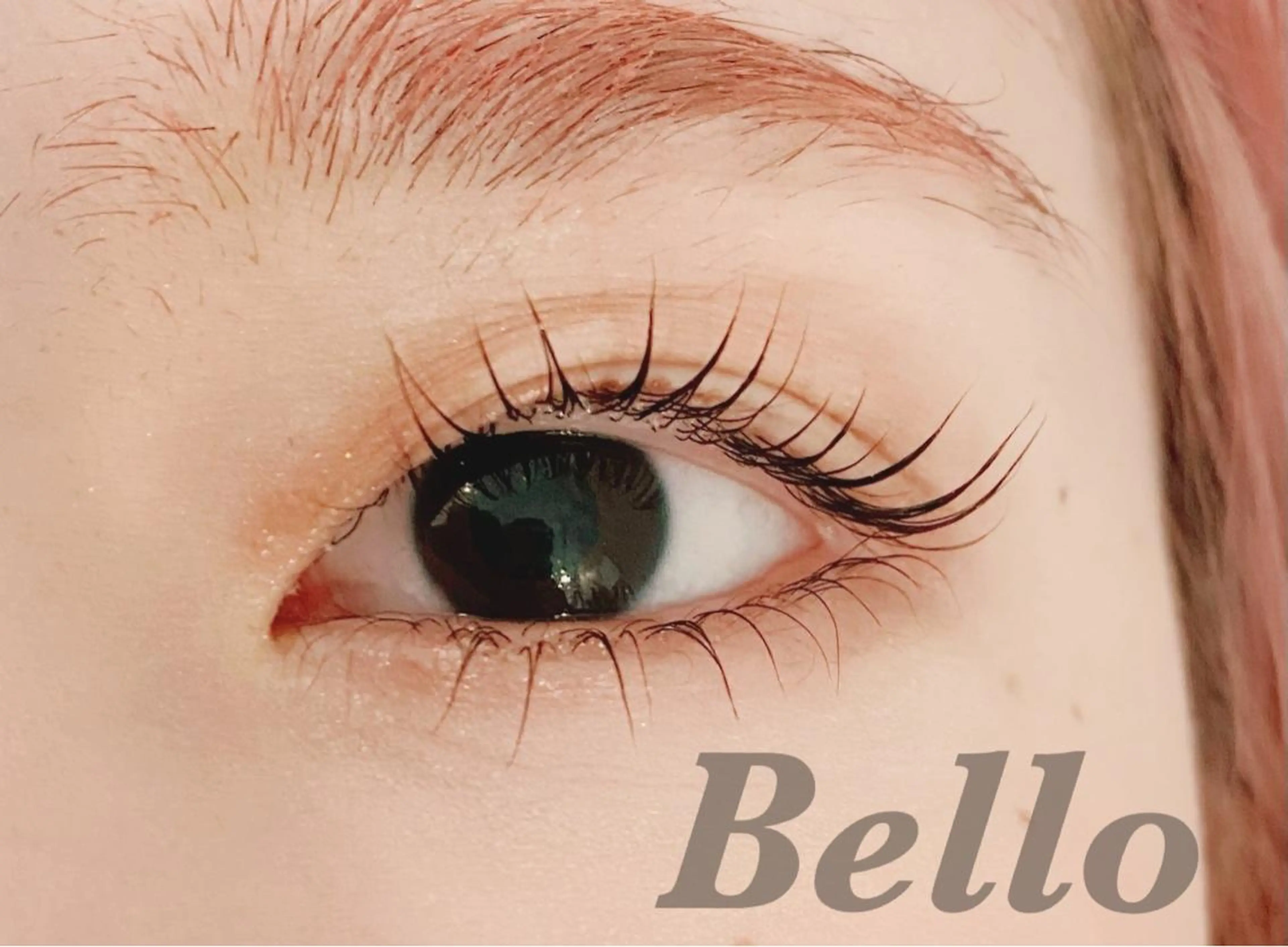 上下ラッシュリフト コーティング付【3回目までクーポン使用可能】の写真