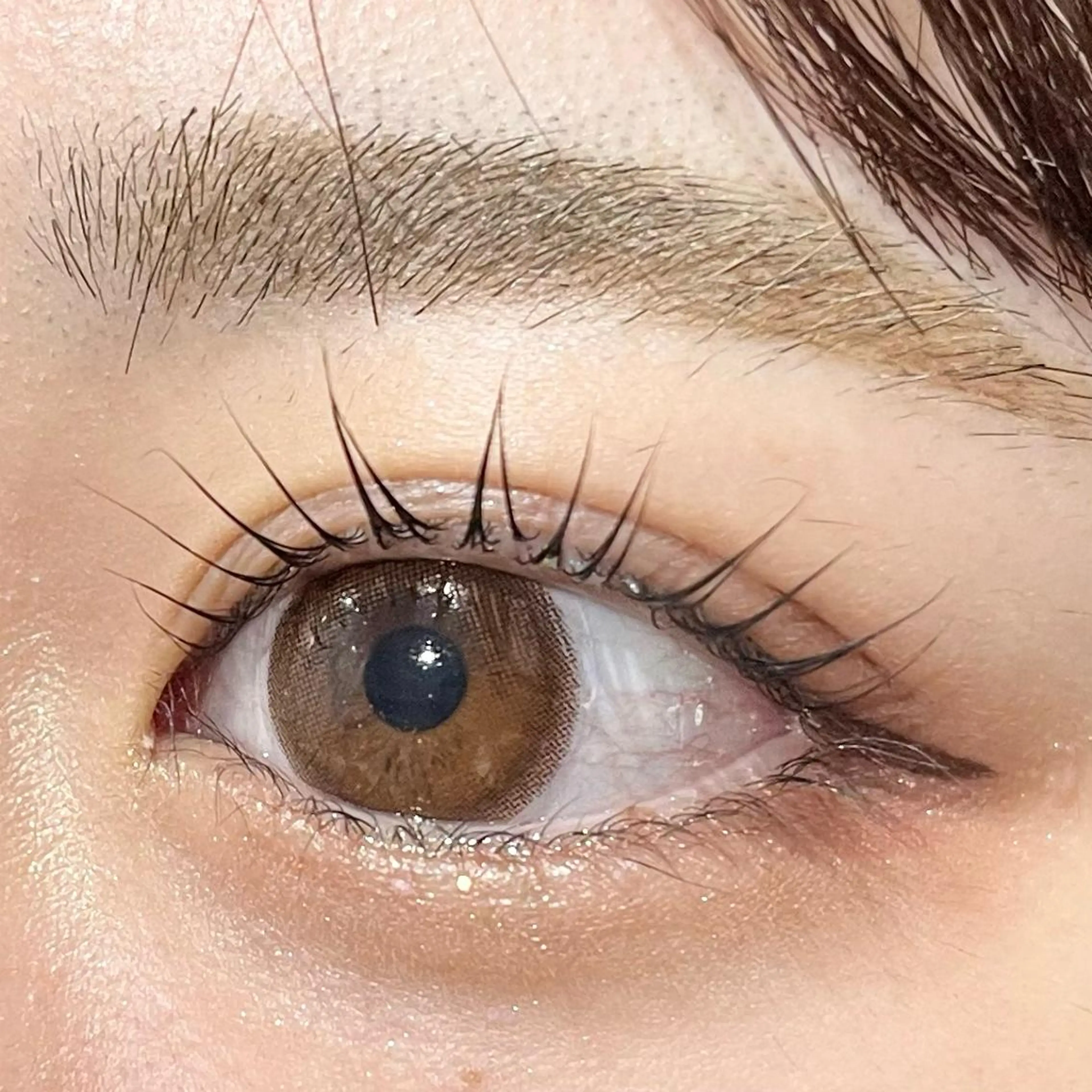 【選べるパーマ】パリジェンヌラッシュリフト_4800円　ラッシュリフト_4300円+お仕上げコーティング付き☘️の写真