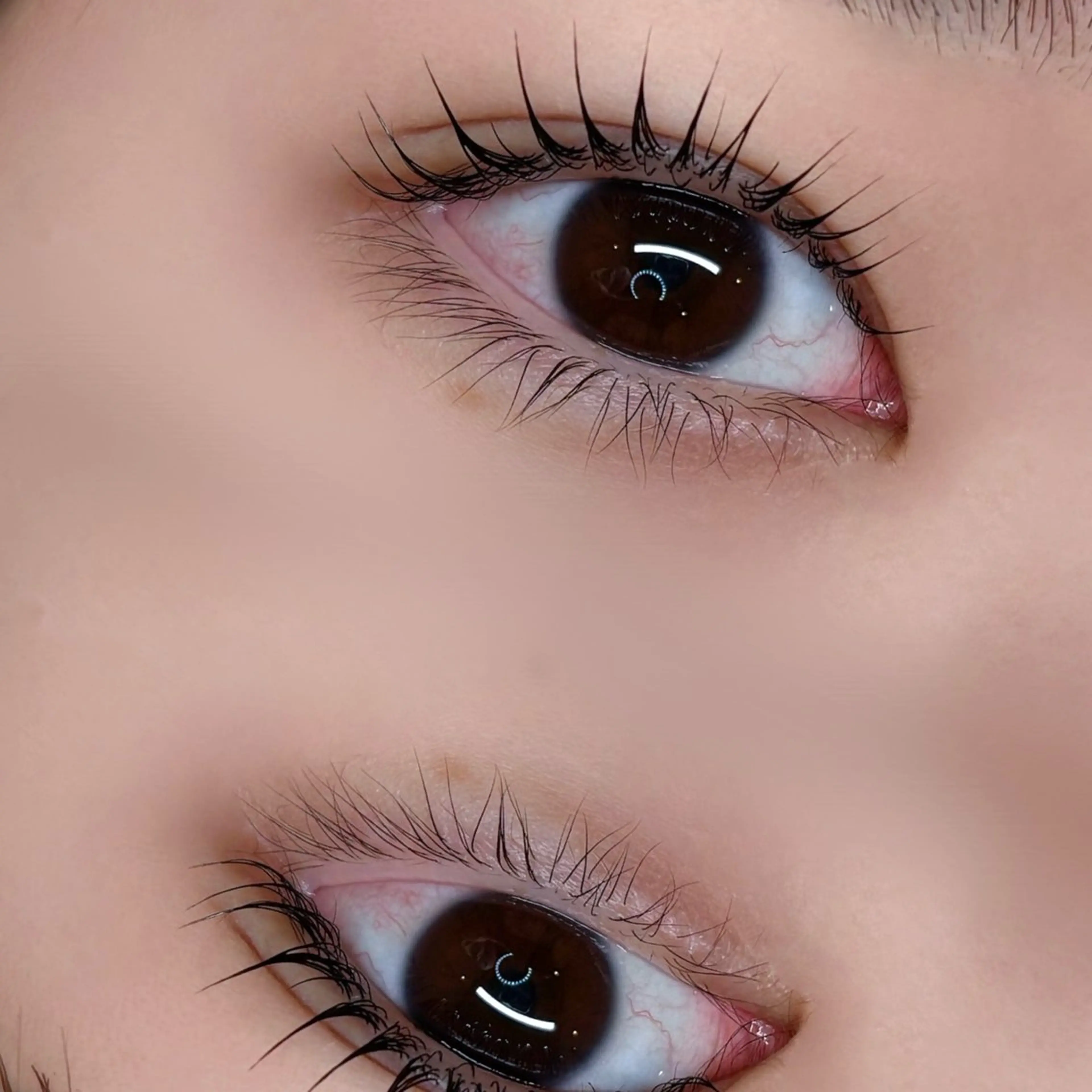 マツエク・マツパ chic ayumiのマツエク・マツパデザイン