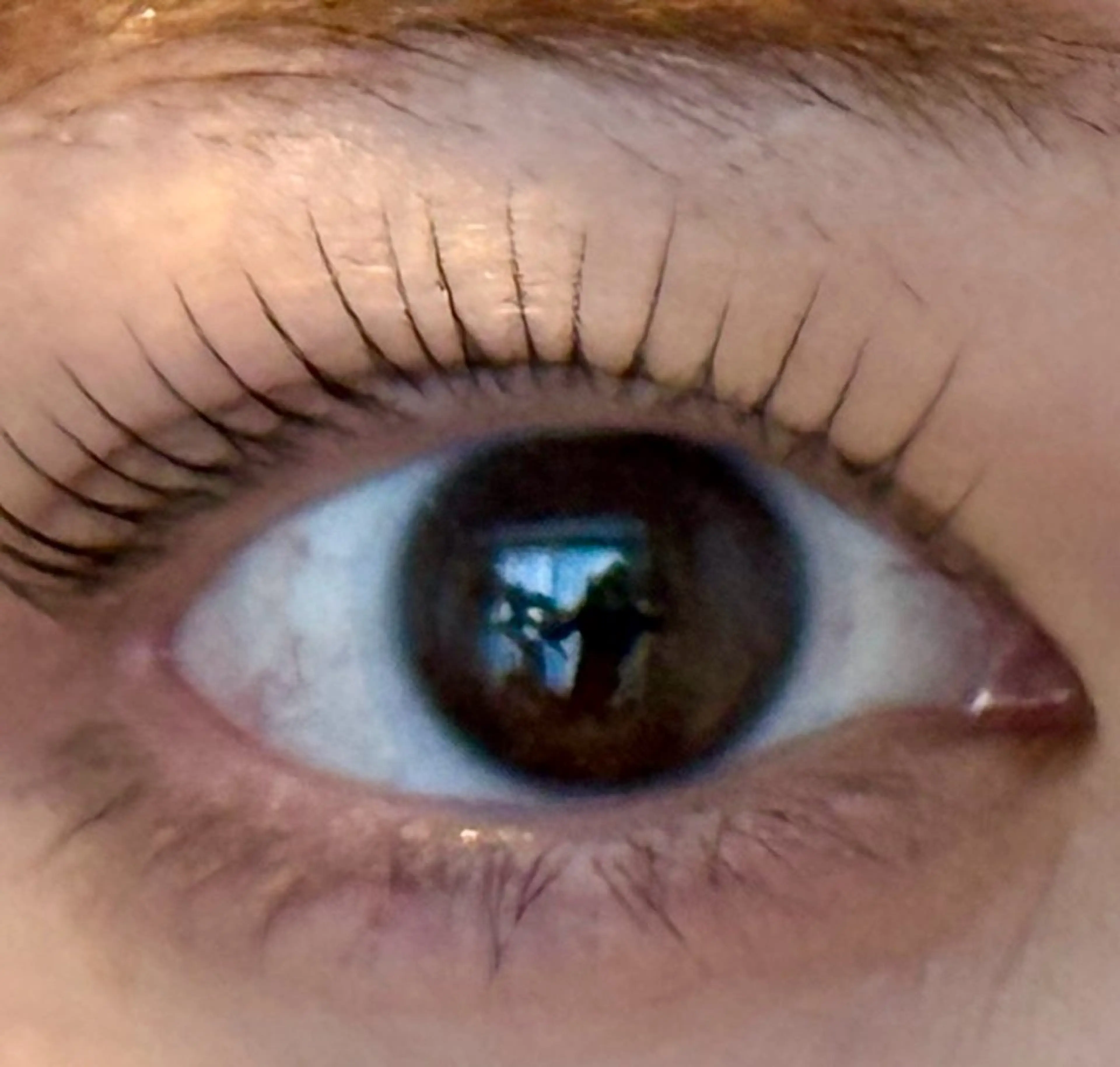 マツエク・マツパ Venus Beauty銀座のマツエク・マツパデザイン