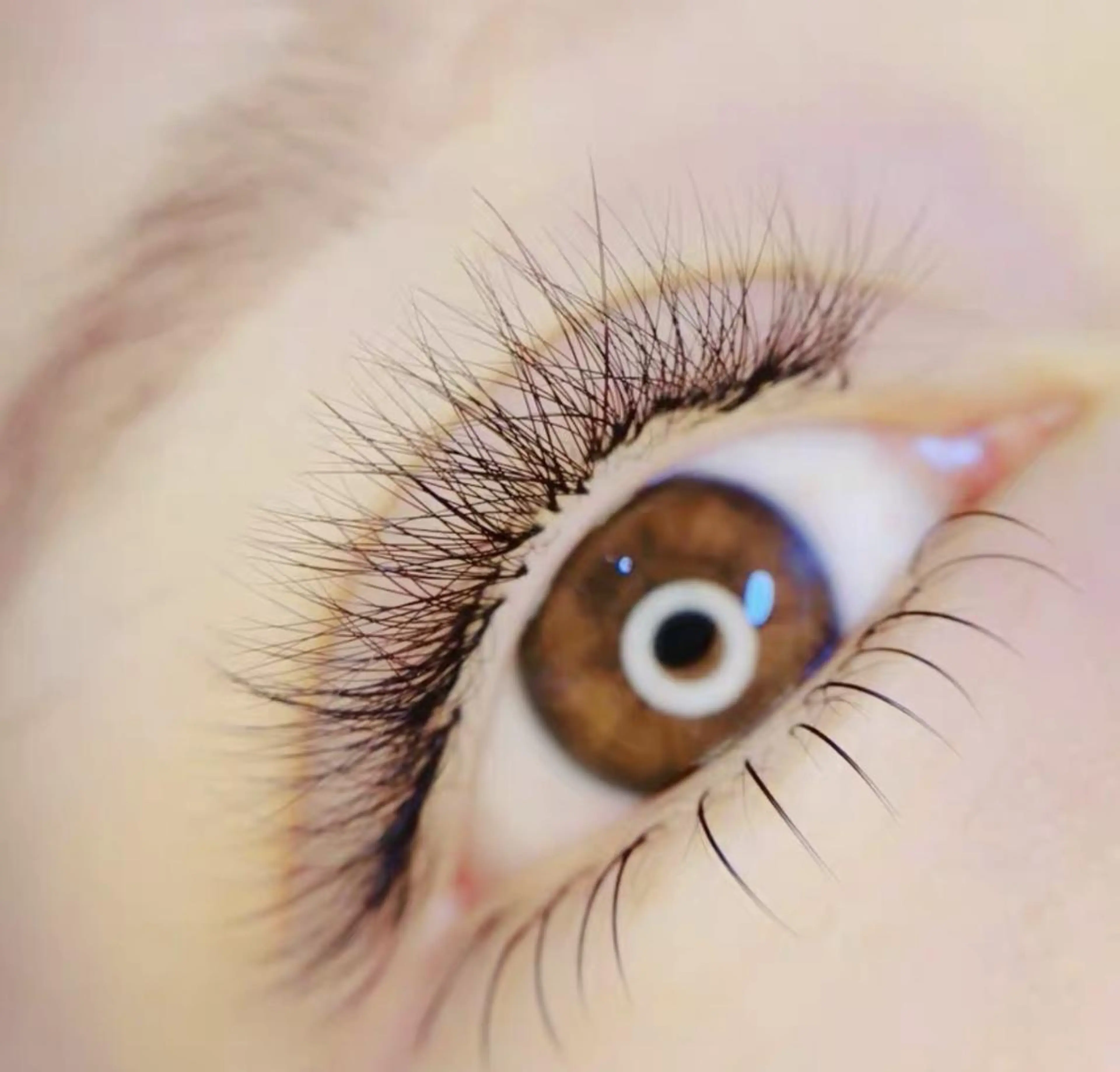 マツエク・マツパ 下まつげエクステ Cute beauty2のマツエク・マツパデザイン