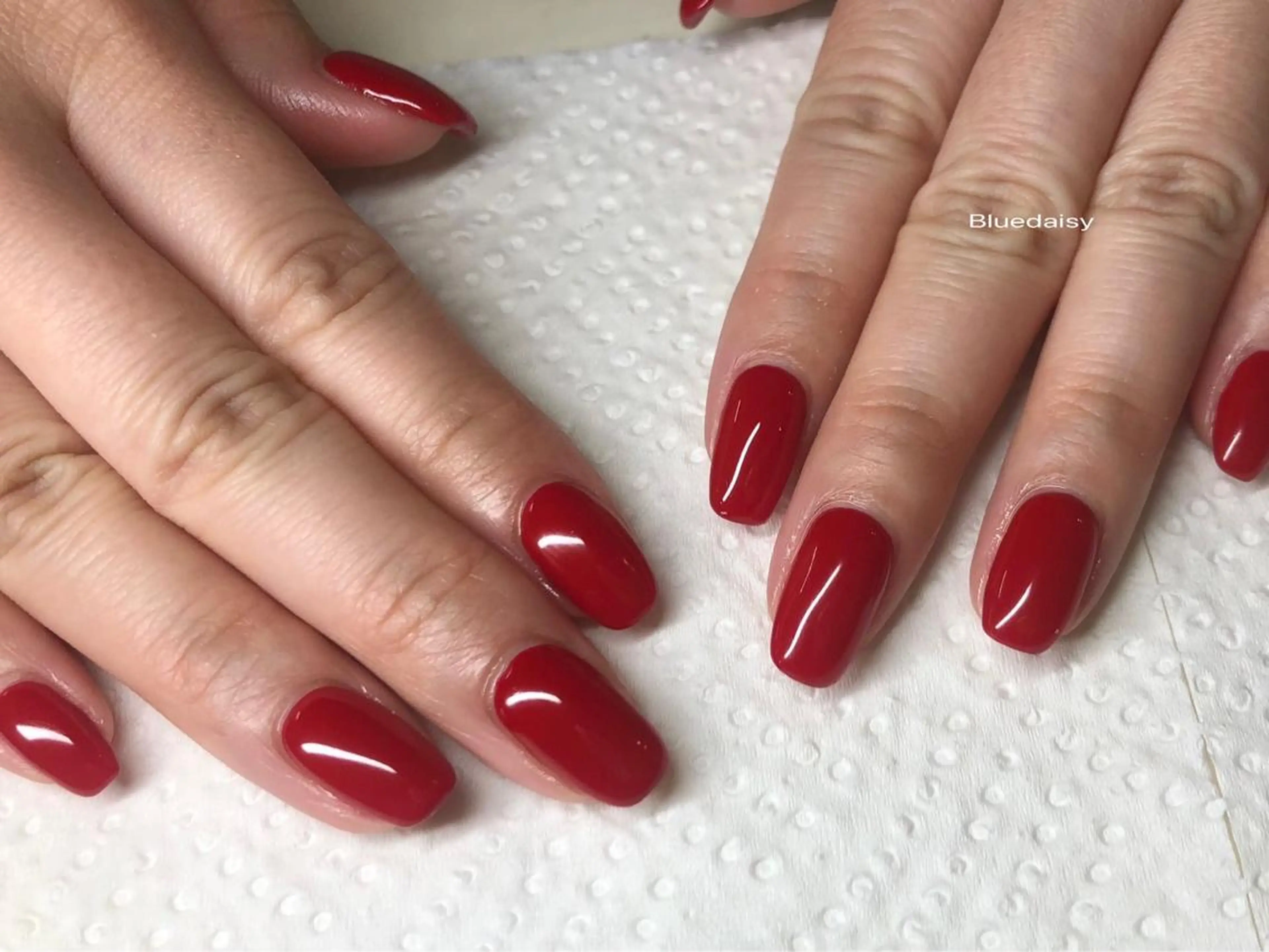 ネイル ワンカラーネイル ハンドネイル Blue　daisy　栄本店 【ブルーデイジー】所属・Blue daisy 栄本店のネイルデザイン