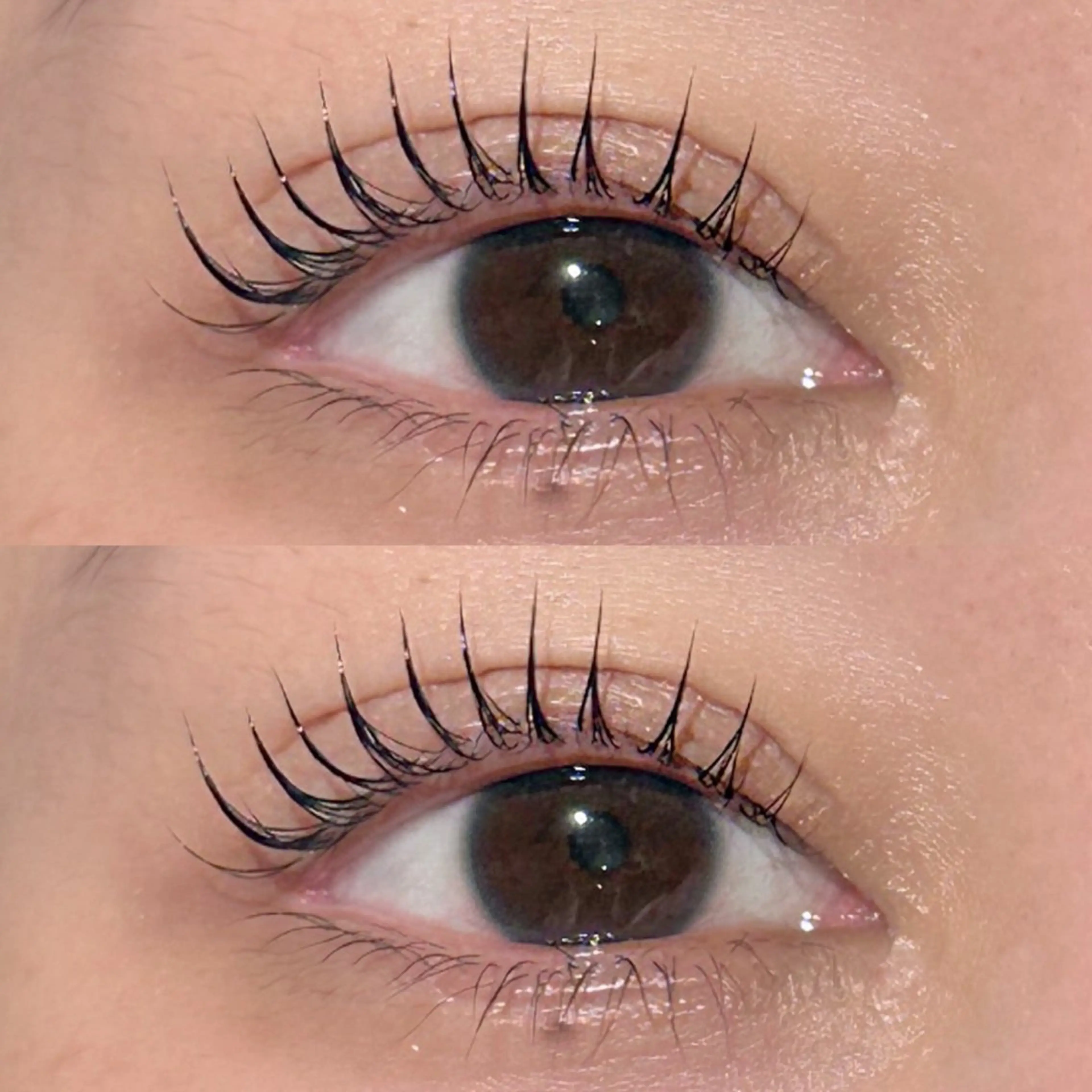 マツエク・マツパ パリジェンヌラッシュリフト マツパ lit.🤍 kiyoneのマツエク・マツパデザイン